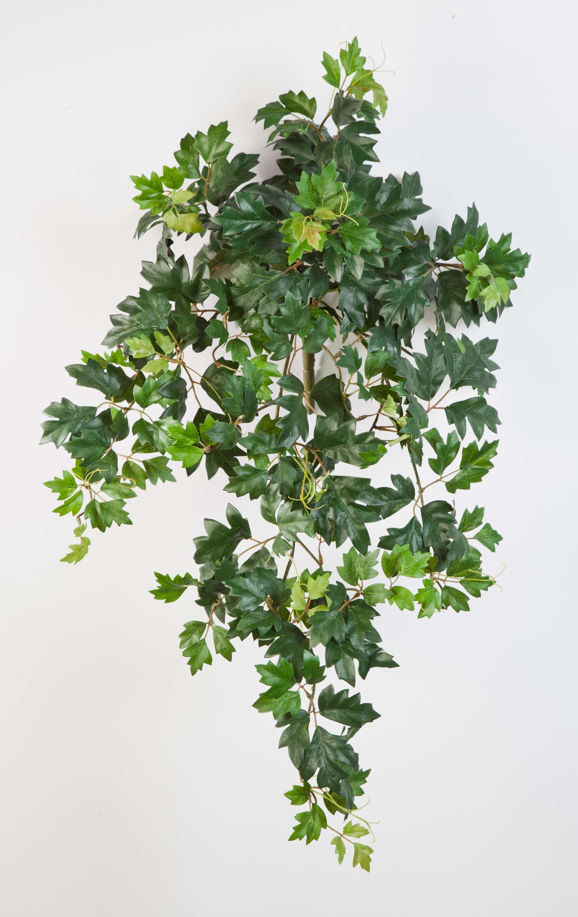 Künstliche Zimmerpflanze Künstliche Königsweinranke HEROPHILA, 350 Blätter, grün, 70cm Weinrebe (Zimmerwein), artplants, Höhe 70.0 cm