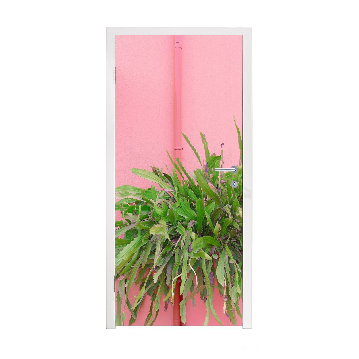 - Fototapete 75x205 Türtapete Sommer - St), für Pflanze Rosa, Matt, MuchoWow Tür, bedruckt, (1 cm Türaufkleber,