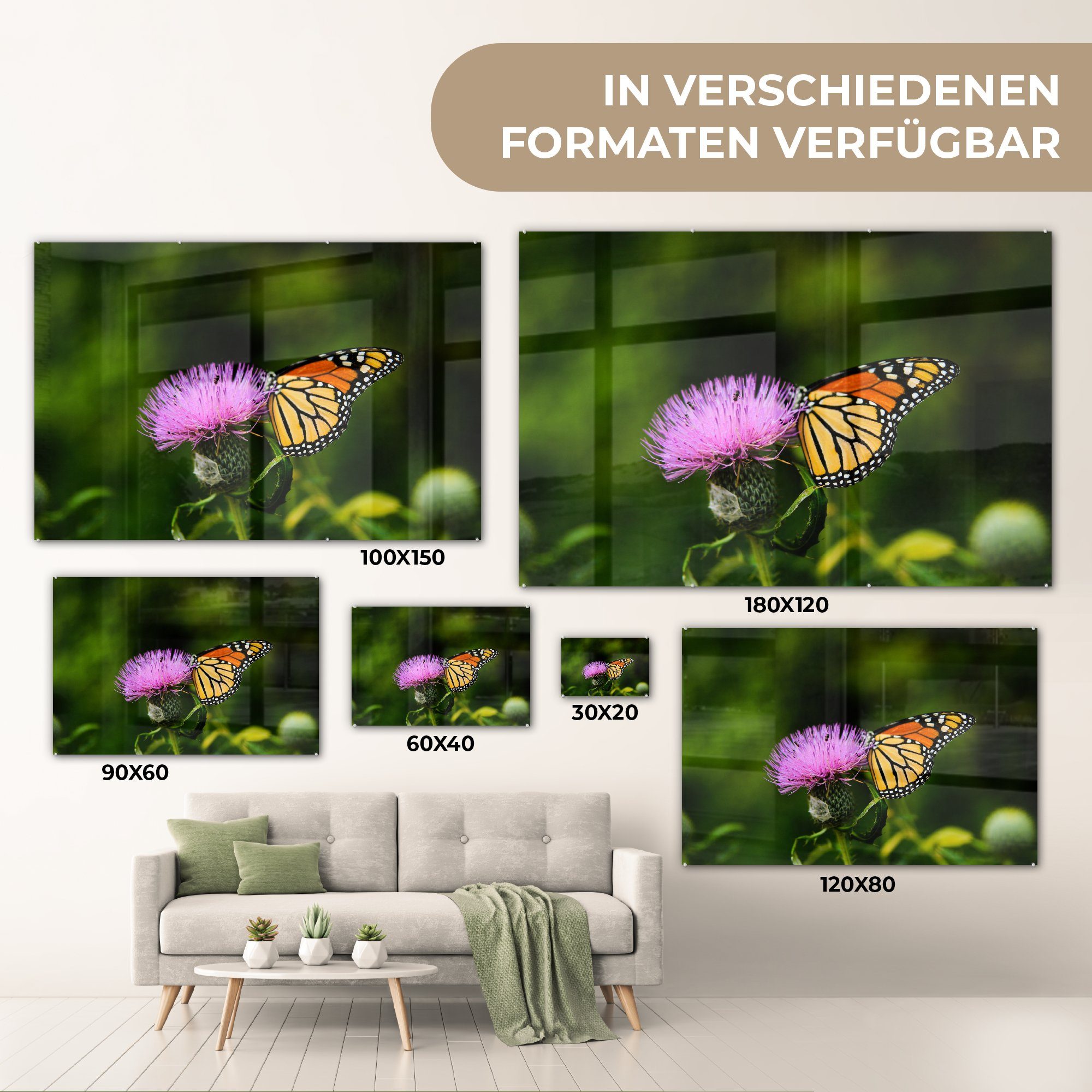 & (1 Blumen Schmetterling St), MuchoWow - Acrylglasbild Schlafzimmer Wohnzimmer Makro, Acrylglasbilder -