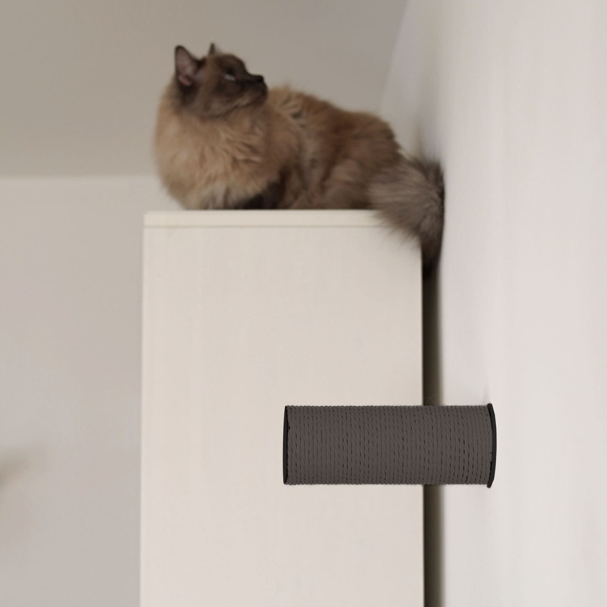 LucyBalu Katzen-Kletterwand Hüpfstamm und Kletterstufe JUMPER LITE, Katzen Kratzstufe aus hochwertigem Papierseil