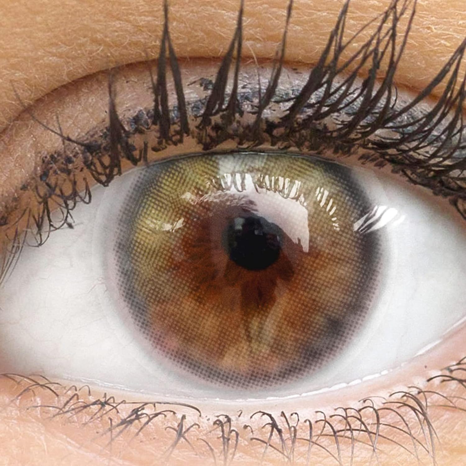 GLAMLENS Monatslinsen Bianco Green