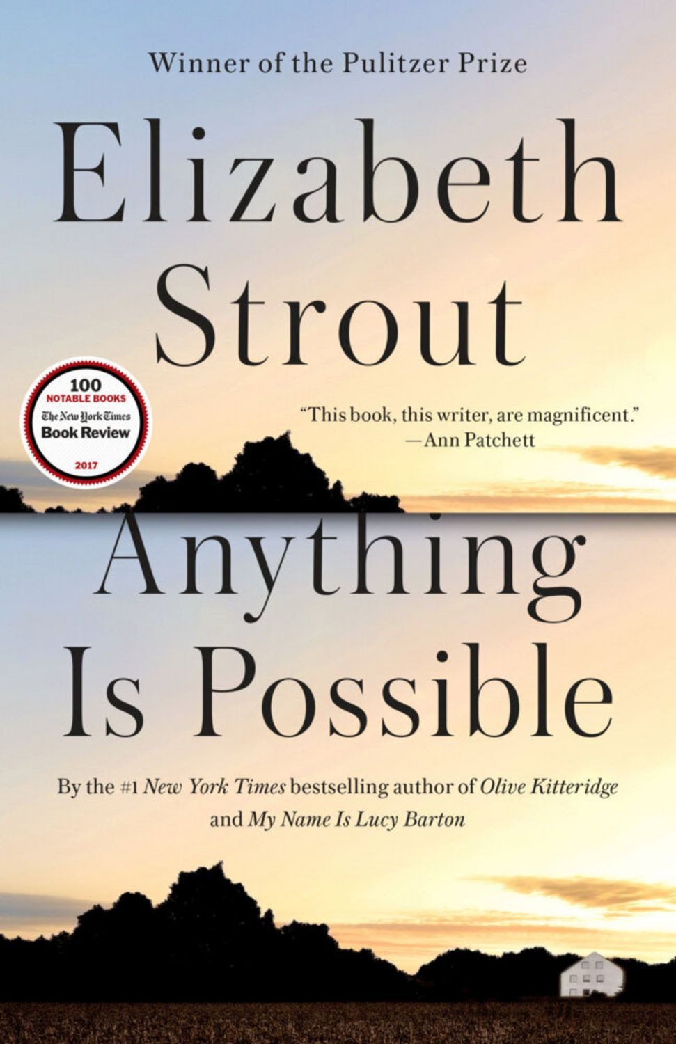 Anything Is Possible / Elizabeth Strout