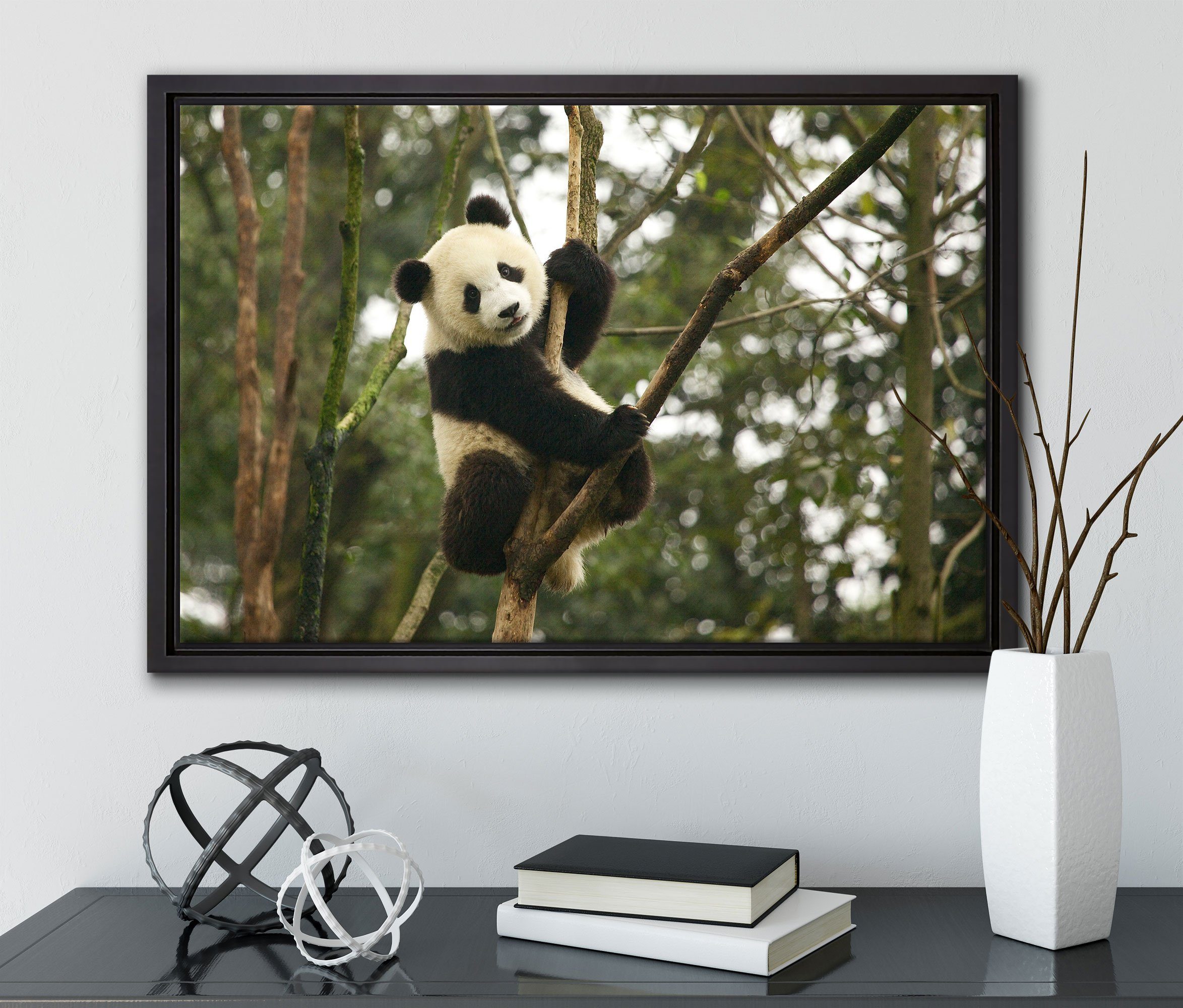 bespannt, niedlicher Leinwandbild auf Pixxprint in Pandabär Wanddekoration gefasst, Zackenaufhänger Baum, Schattenfugen-Bilderrahmen Leinwandbild St), fertig inkl. einem (1