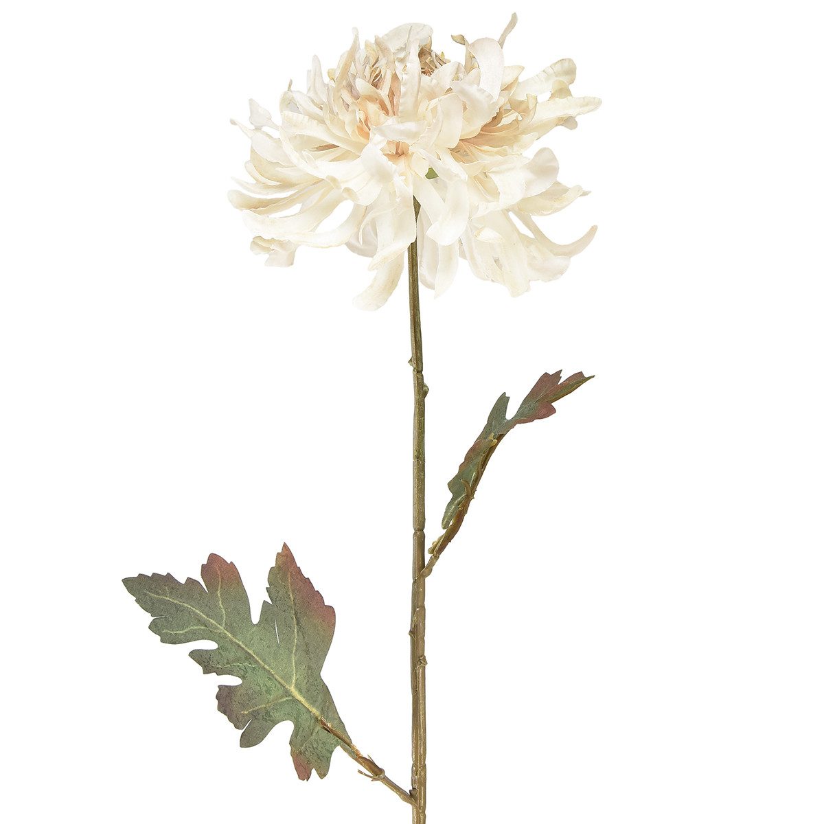 Kunstblume Chrysanthemen Kunstblumen Creme 72cm 2er Set Dekoration, 2 Stück, Florists Products, Höhe 7 cm