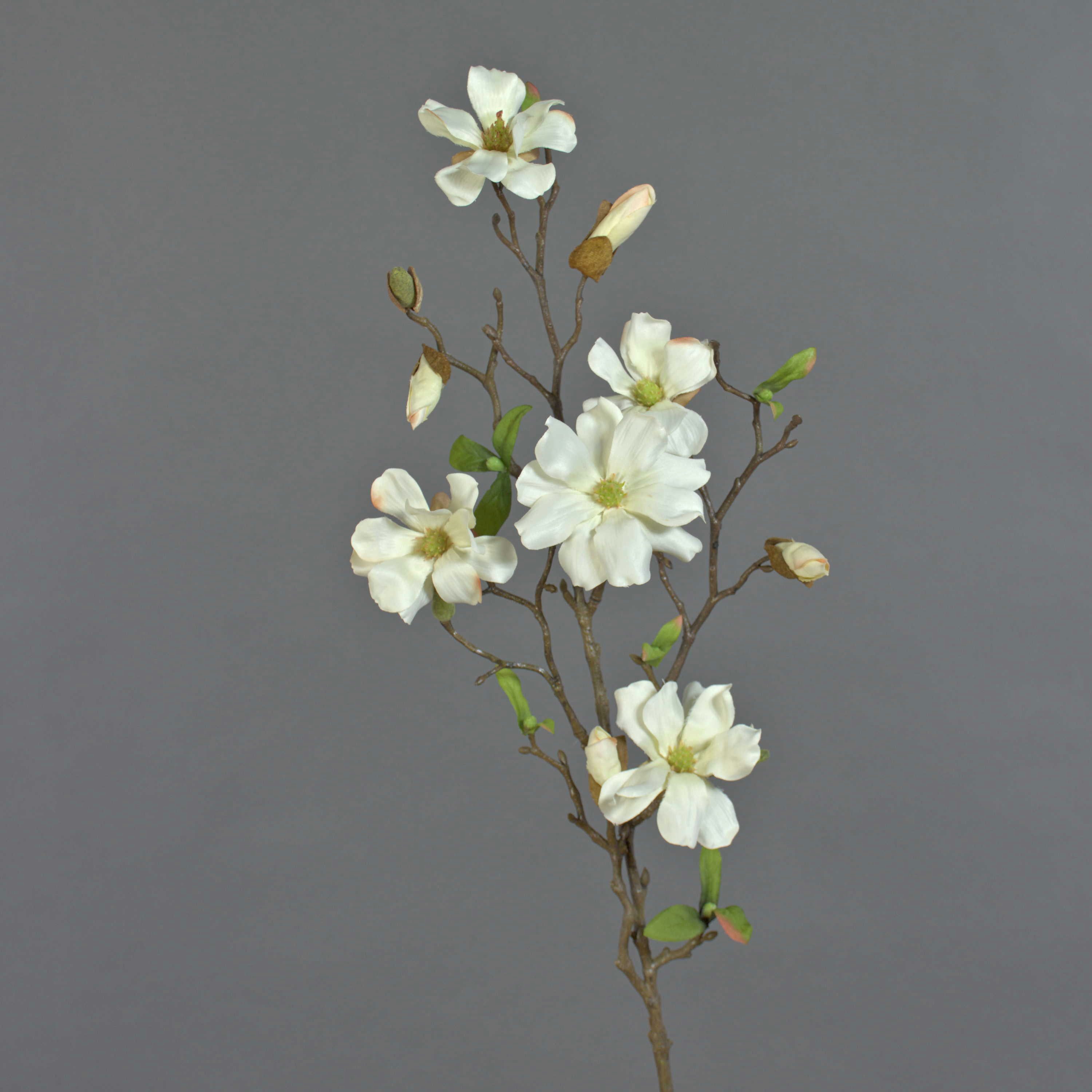 Kunstzweig Deko Magnolienzweig, 4 Blüten und Knospen, weiß, 80cm Magnolie, artplants, Höhe 80.0 cm