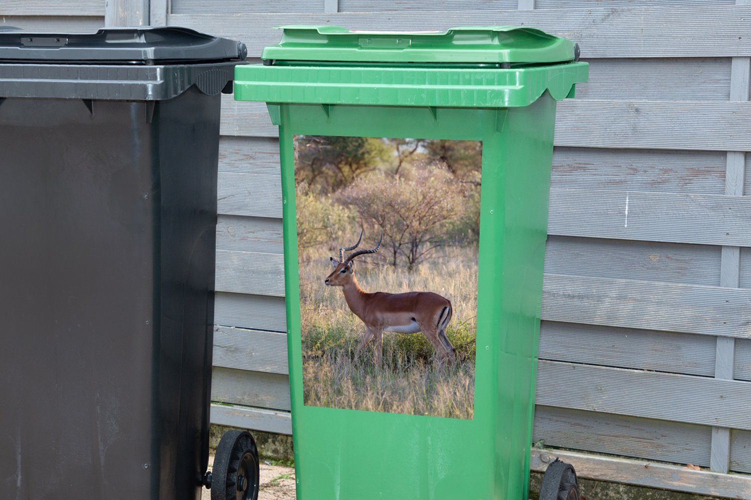 MuchoWow Impala - Mülltonne, Afrika (1 Safari - Abfalbehälter St), Sticker, Container, Mülleimer-aufkleber, Wandsticker