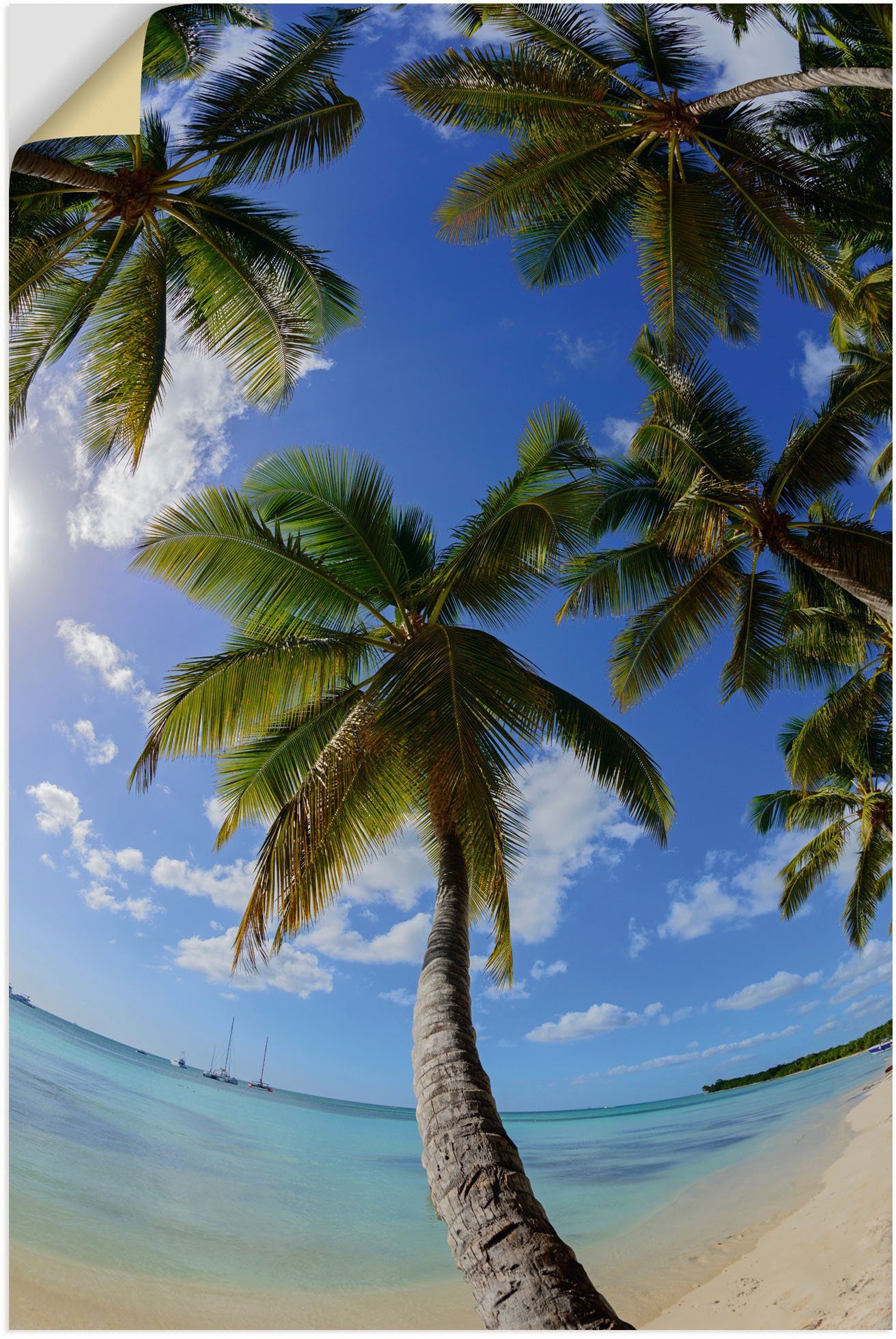 Artland Wandbild Palmenstrand, Parque Nacional del Este, Karibikbilder (1 St), als Alubild, Leinwandbild, Wandaufkleber oder Poster in versch. Größen