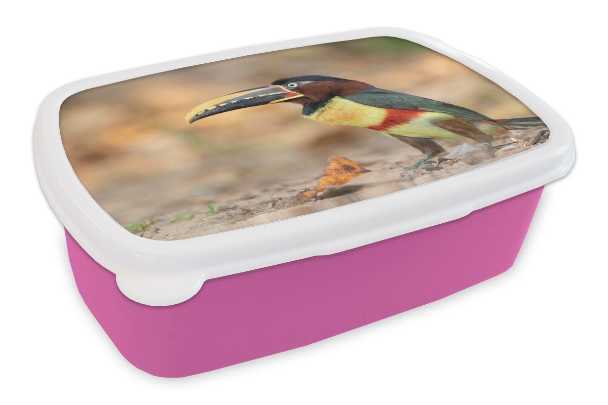 MuchoWow Lunchbox Vogel - Tukan - Federn - Natur, Kunststoff, (2-tlg), Brotbox für Erwachsene, Brotdose Kinder, Snackbox, Mädchen, Kunststoff rosa