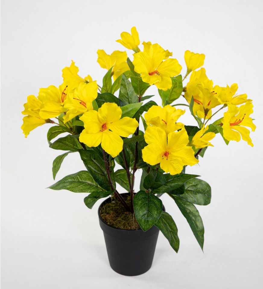 Kunstblume Hibiskus 40cm im Topf ZF Kunstpflanzen Blumen künstlicher Eibisch Hibiskus, Seidenblumen Roß, Höhe 40 cm, Gelb