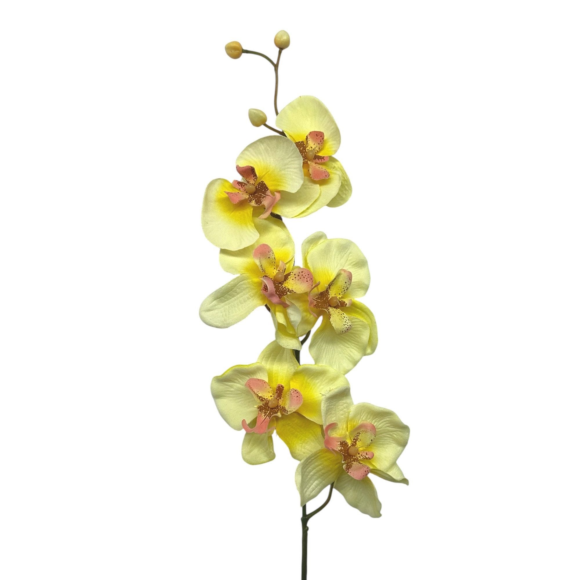 Kunstorchidee Kunstblume, ORCHIDEENZWEIG, Orchidee 78cm, Gasper, Höhe 78.00 cm