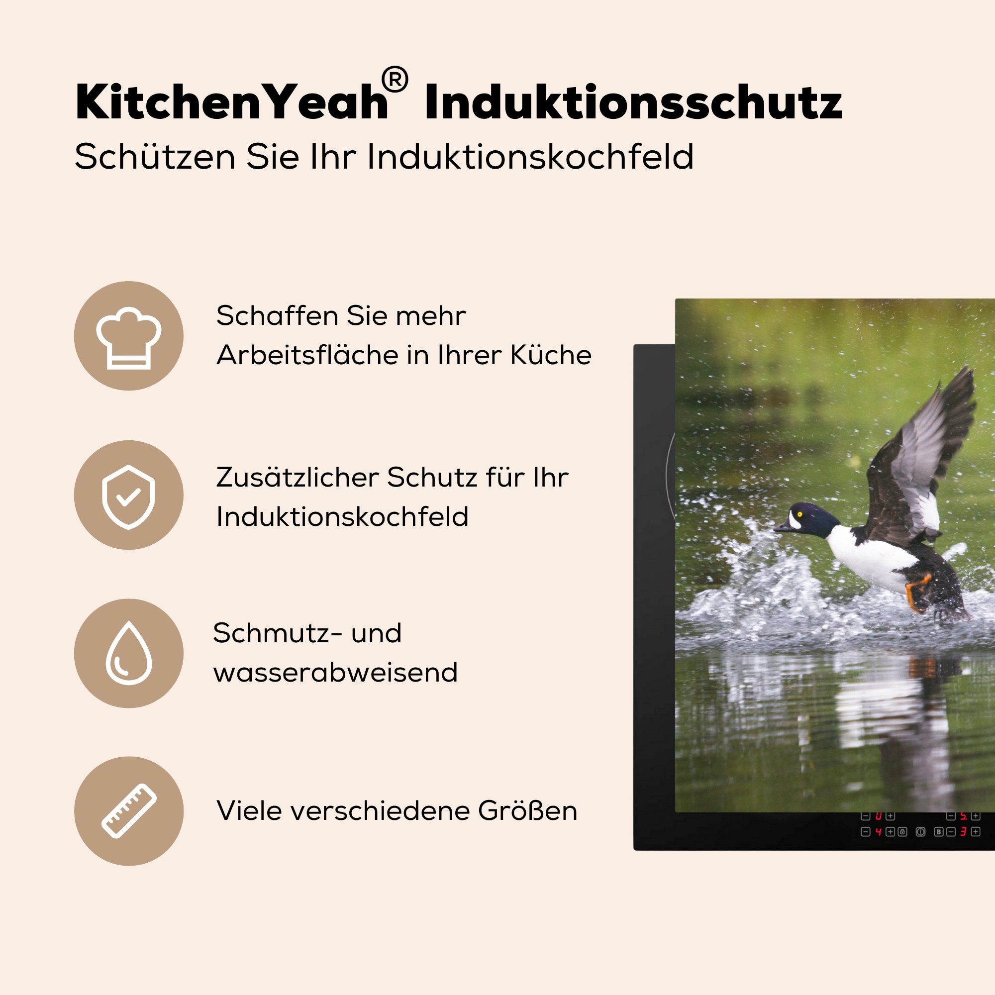 für Eine cm, Wasser, Ceranfeldabdeckung Herdblende-/Abdeckplatte küche, MuchoWow Schellente sich Induktionsmatte dem die (1 erhebt Vinyl, 59x52 tlg), aus