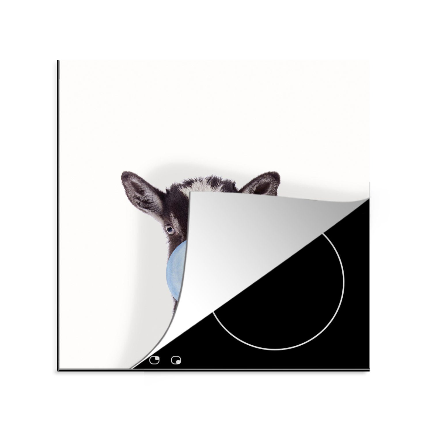 Arbeitsplatte - Herdblende-/Abdeckplatte Kaugummi cm, für Jungen tlg), Tiere, MuchoWow - (1 Blau küche Vinyl, - Ceranfeldabdeckung, Ziege - 78x78 - Kind