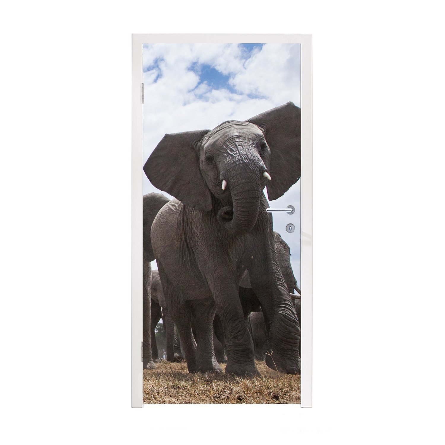 MuchoWow Türtapete Elefant - Tiere - Natur - Flachland, Matt, bedruckt, (1 St), Fototapete für Tür, Türaufkleber, 75x205 cm | Türtapeten