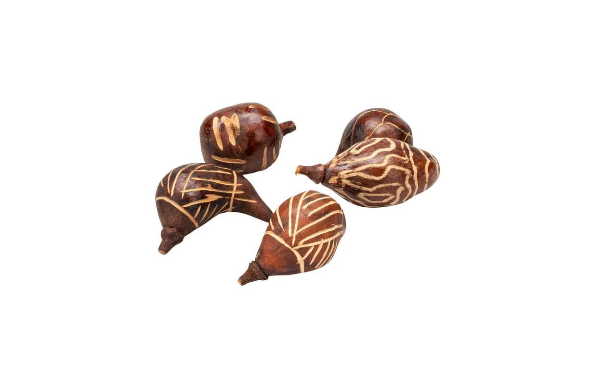 NaDeco Bastelnaturmaterial Baobab mini 5 Stück ca. 5-10 cm Mix Design in Braun