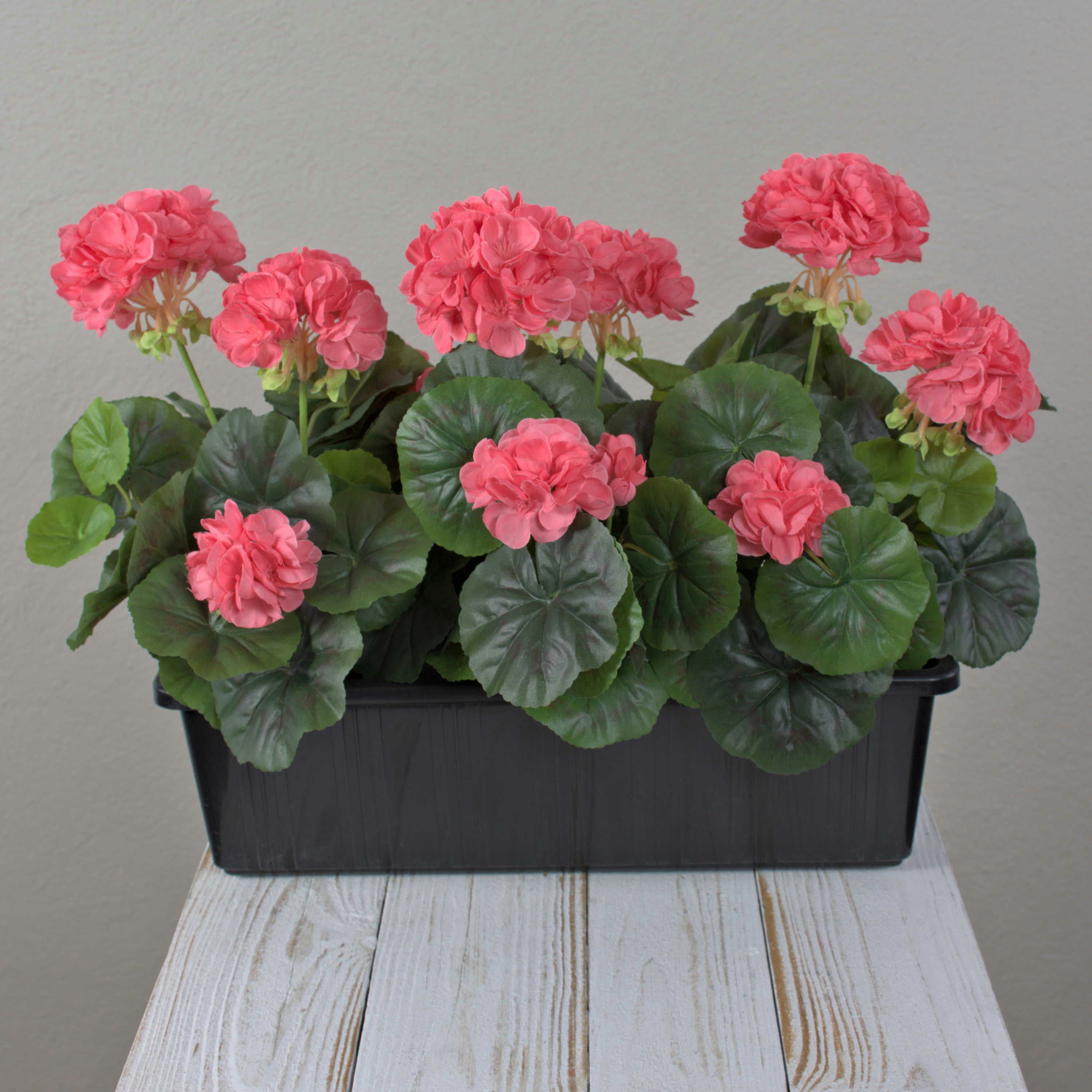 Kunstblume Deko Blume Geranien FLOREANA, lachs, 3 Stück, 40x15x35cm Geranie, artplants, Höhe 35 cm