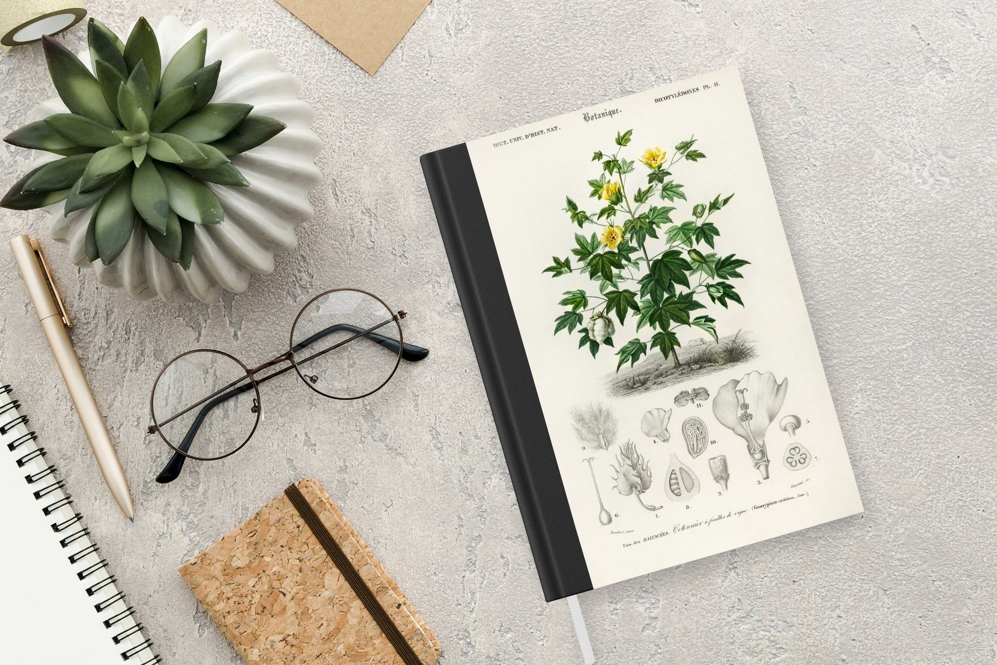 Seiten, Notizheft, Botanik, Blume - A5, Merkzettel, - Tagebuch, MuchoWow Notizbuch Pflanze Haushaltsbuch Journal, 98