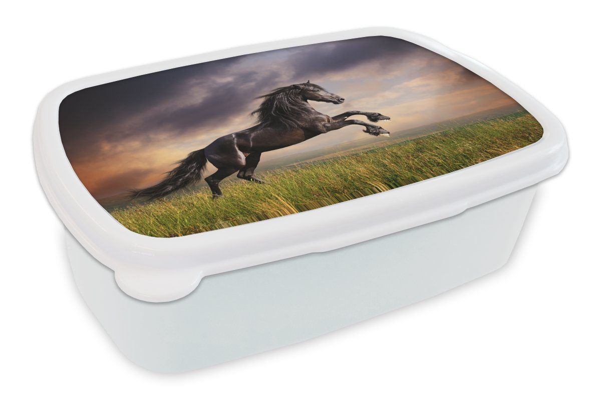 MuchoWow Lunchbox Pferd - Luft - Nacht - Gras, Kunststoff, (2-tlg), Brotbox für Kinder und Erwachsene, Brotdose, für Jungs und Mädchen weiß | Lunchboxen
