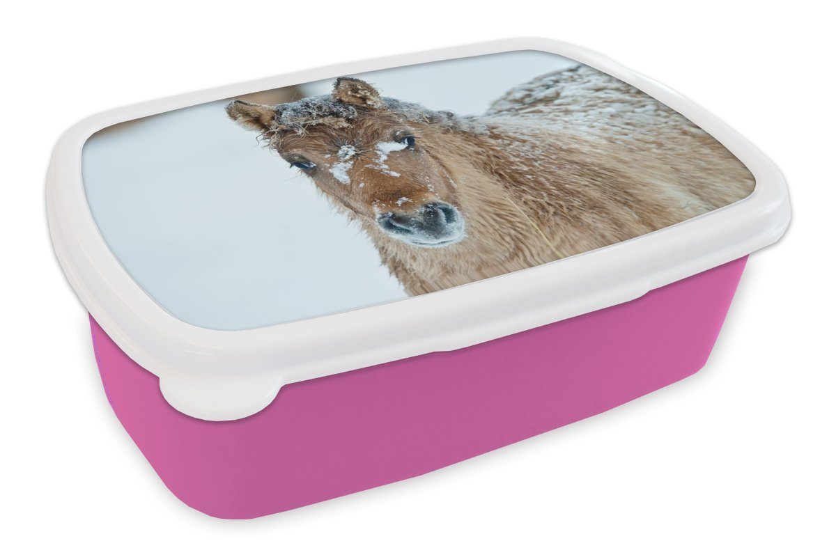 MuchoWow Lunchbox Junges Fjordpferd mit Schnee bedeckt, Kunststoff, (2-tlg), Brotbox für Erwachsene, Brotdose Kinder, Snackbox, Mädchen, Kunststoff rosa