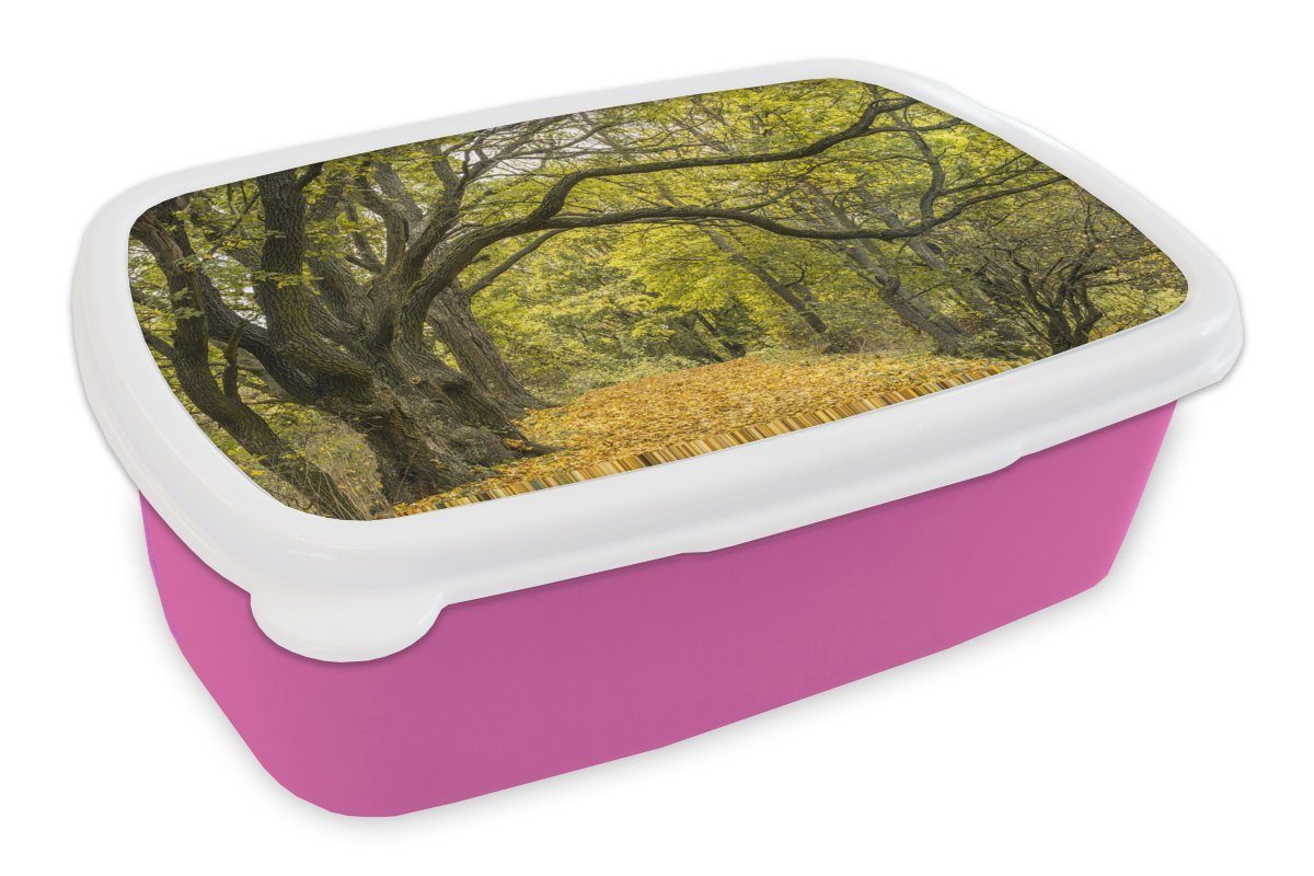 MuchoWow Lunchbox Äste auf einem Waldweg, Kunststoff, (2-tlg), Brotbox für Erwachsene, Brotdose Kinder, Snackbox, Mädchen, Kunststoff rosa