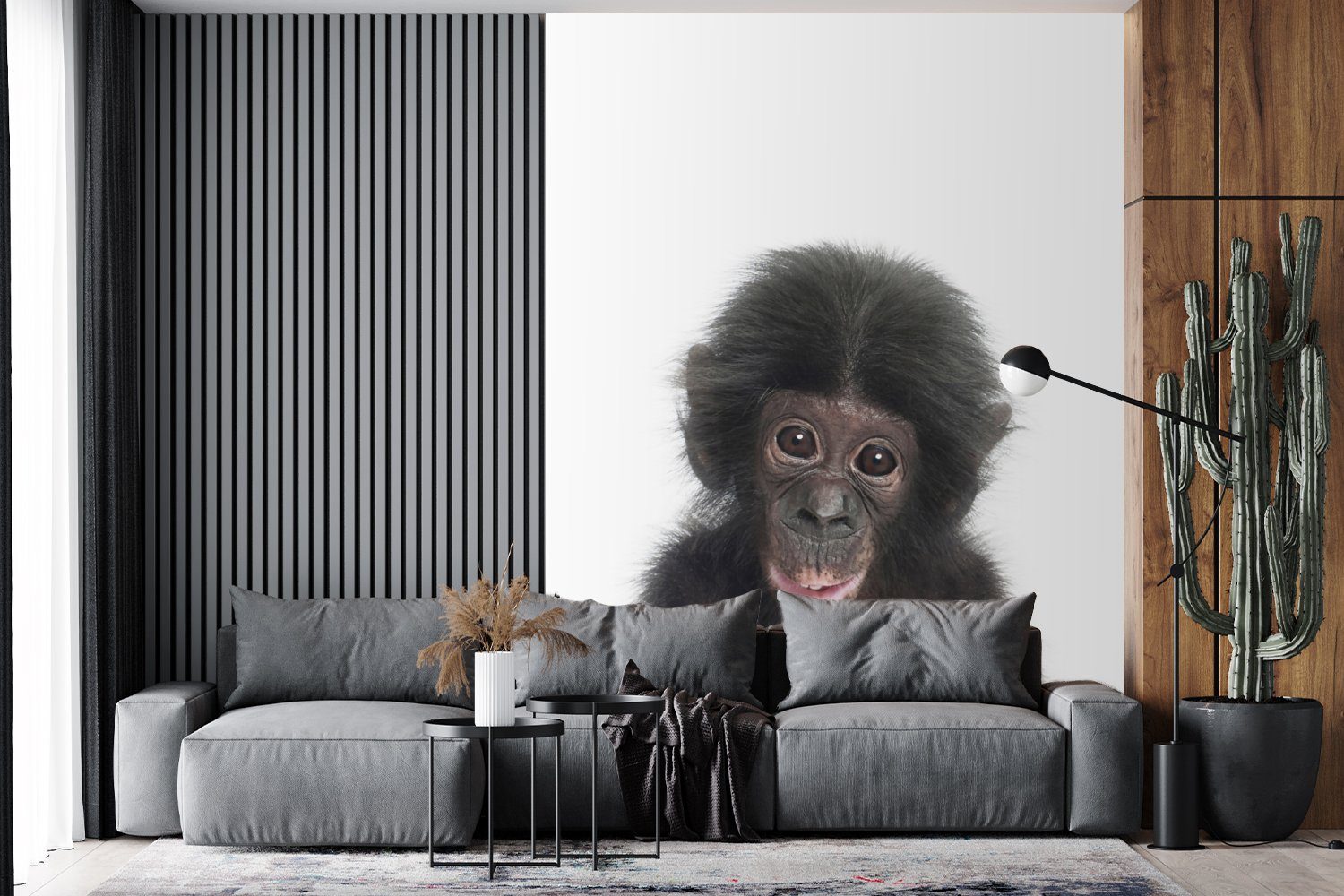 Tiere Vinyl Schimpanse, - - Matt, (4 - für Wandtapete MuchoWow Natur St), bedruckt, Wohnzimmer, Affe Montagefertig Fototapete Tapete