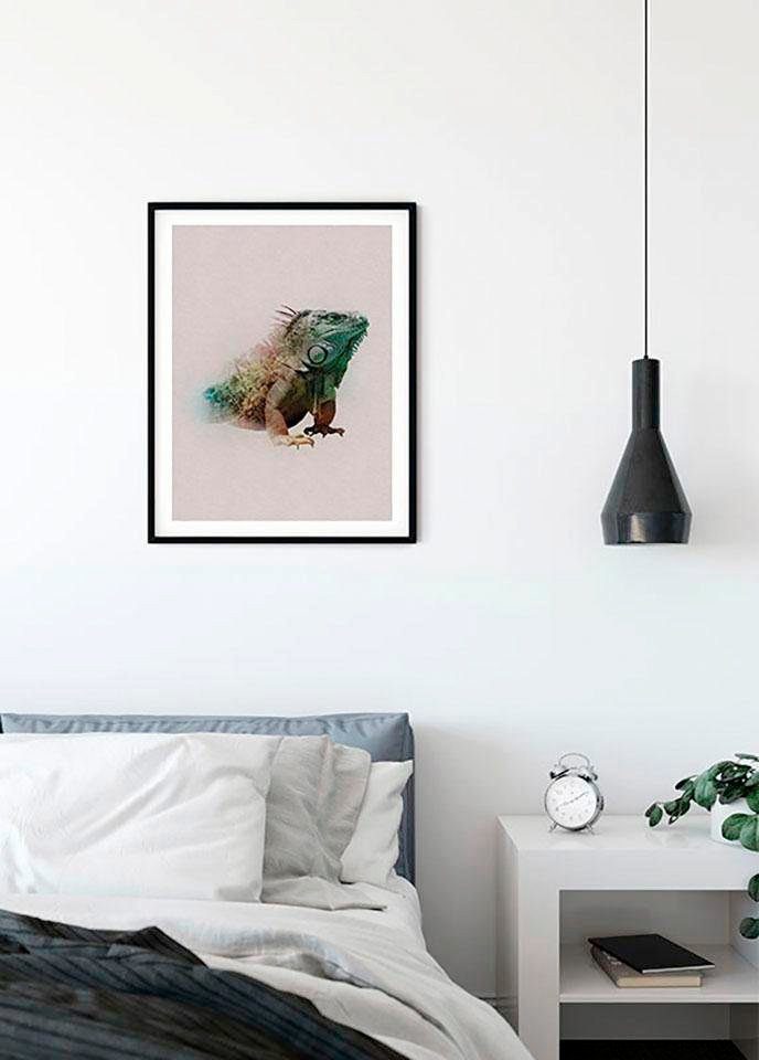 Animals Schlafzimmer, Paradise Kinderzimmer, St), Tiere Komar Wohnzimmer Poster Iguana, (1