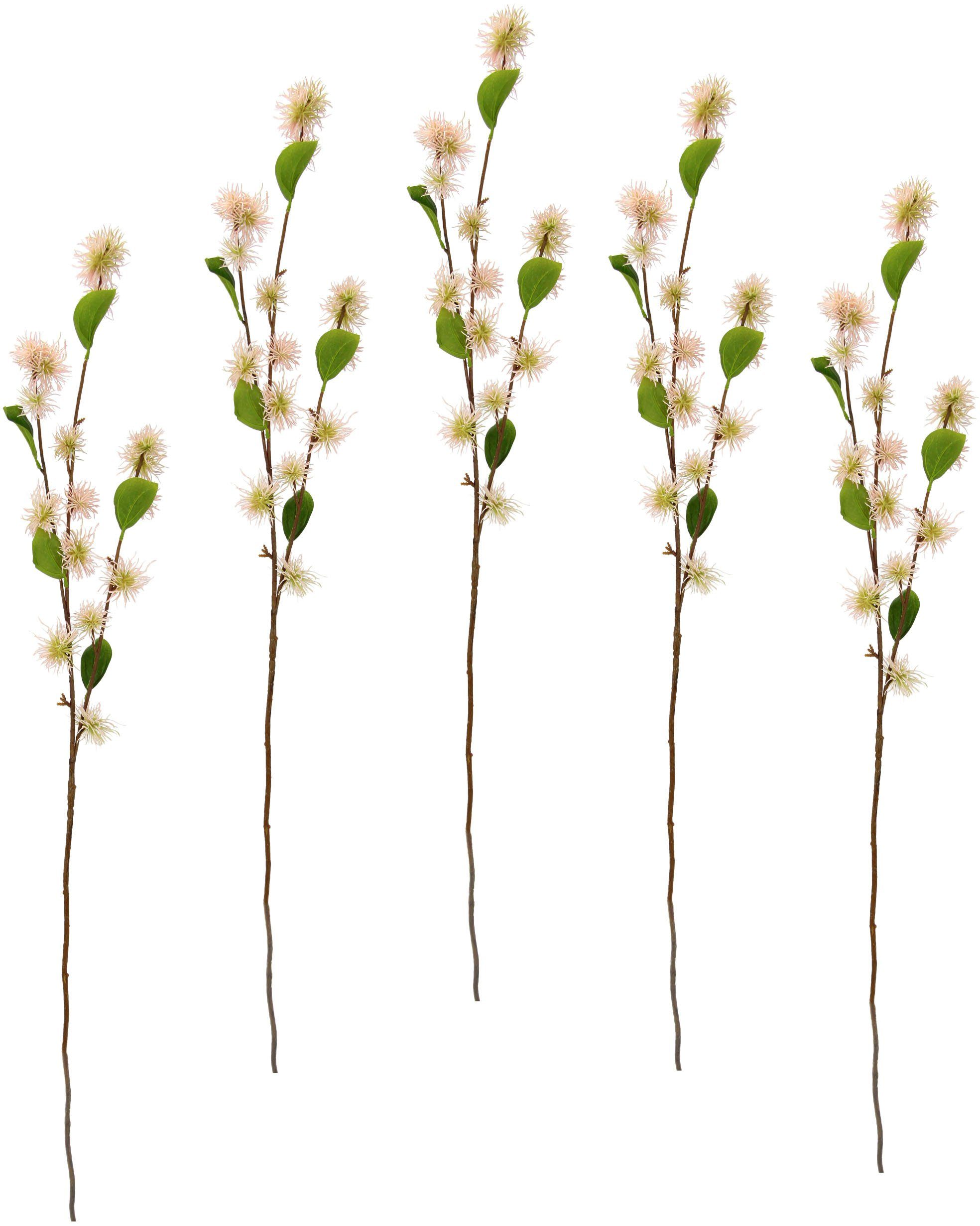 Kunstblume Zaubernuss