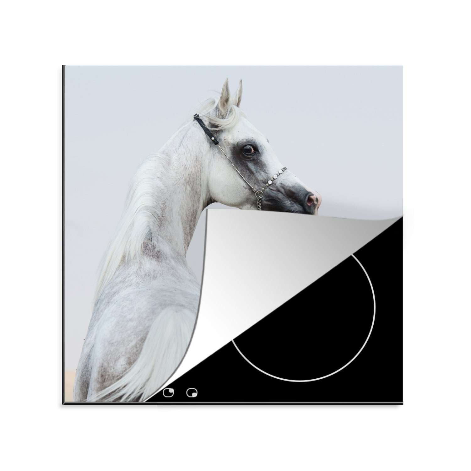 MuchoWow Herdblende-/Abdeckplatte Pferd - Sand - Pastell, Vinyl, (1 tlg), 78x78 cm, Ceranfeldabdeckung, Arbeitsplatte für küche