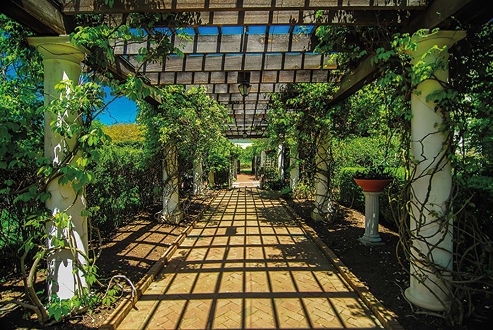 Fototapete Garden Walkway