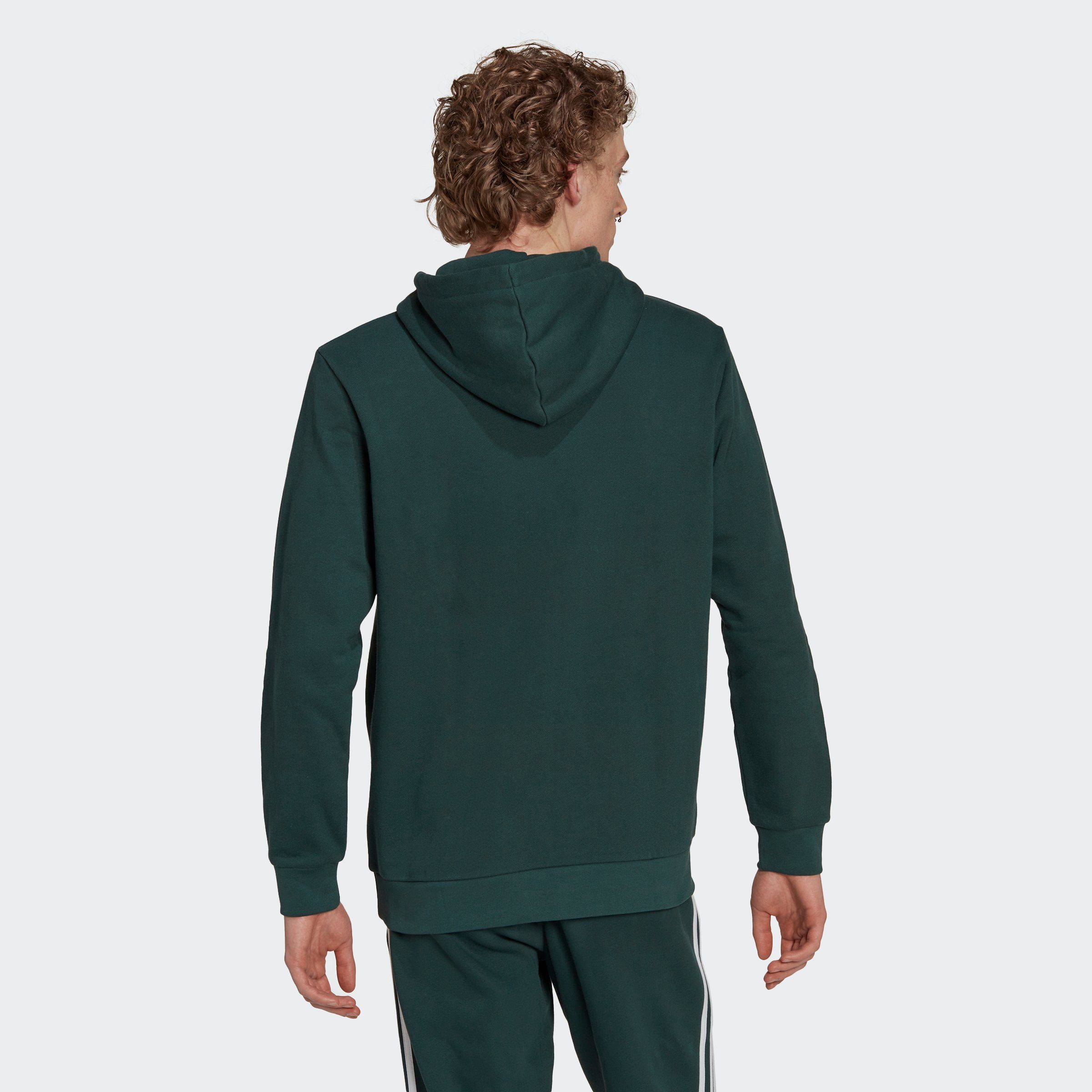 Kapuzensweatshirt HOODIE CLASSICS adidas Originals ADICOLOR grün TREFOIL