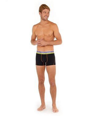 Hom Boxer Carl no.2 (2-St)