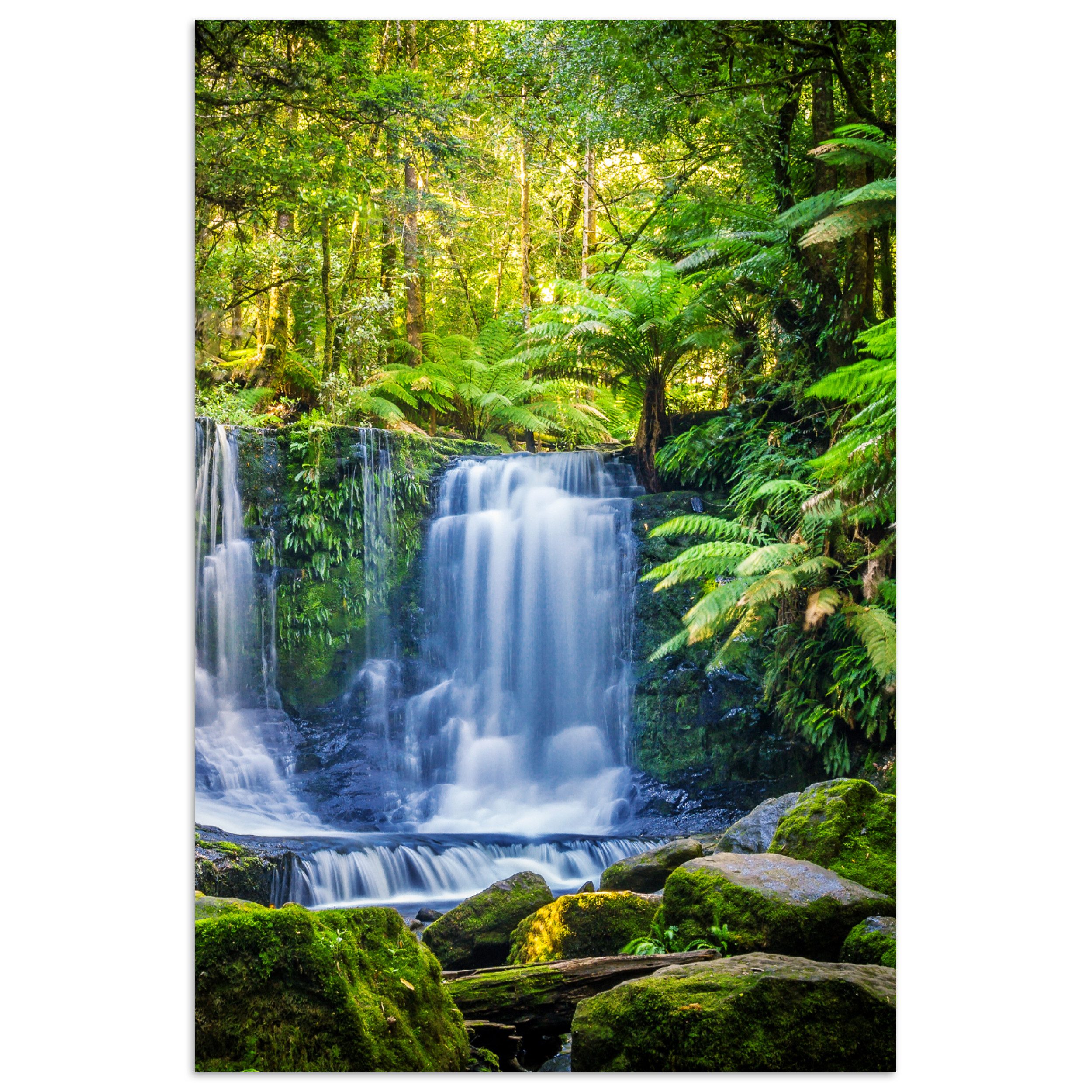 MuchoWow Poster Dschungel - Wasserfall - günstig online kaufen