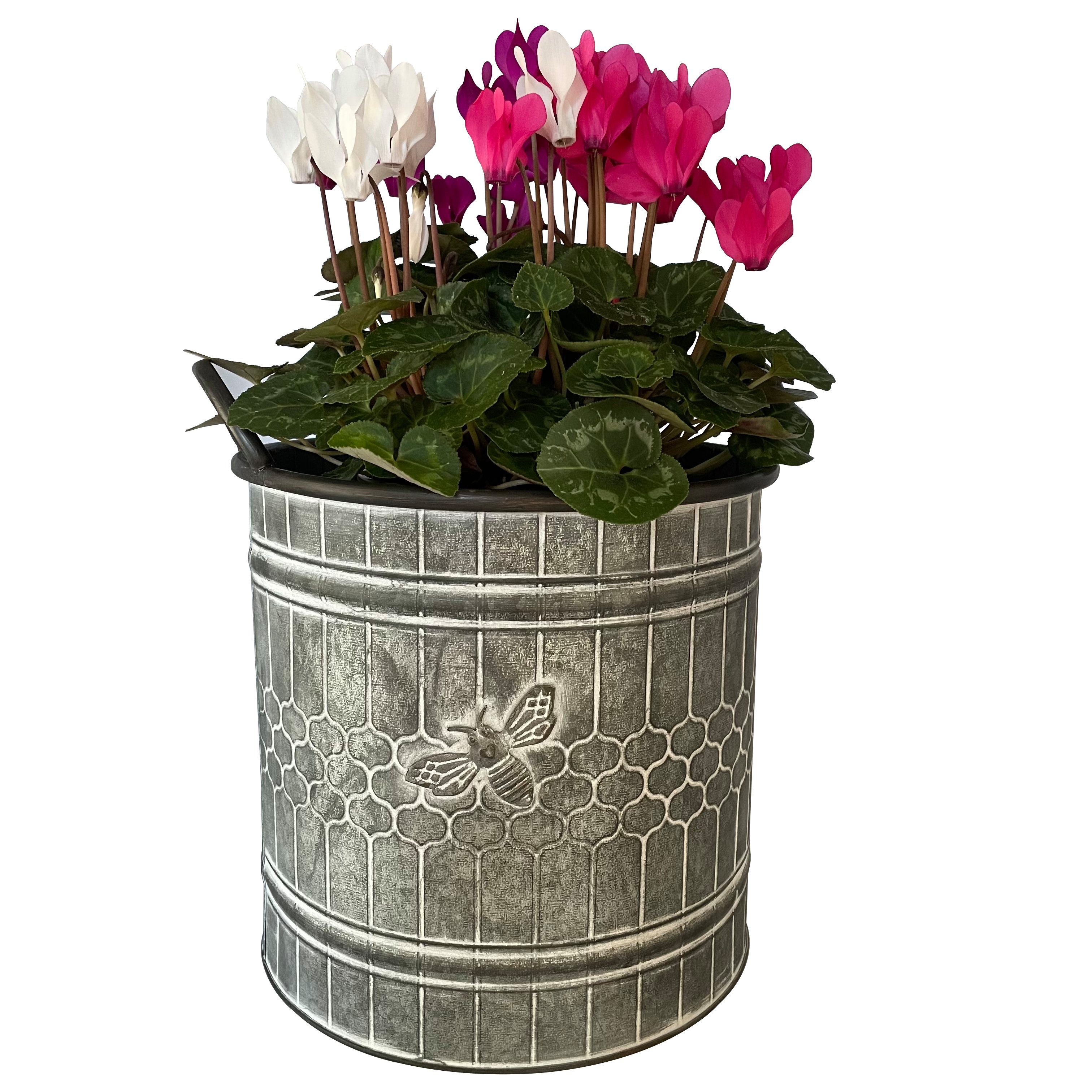Online-Fuchs Blumentopf großer Zinkeimer im Bienendesign günstig online kaufen