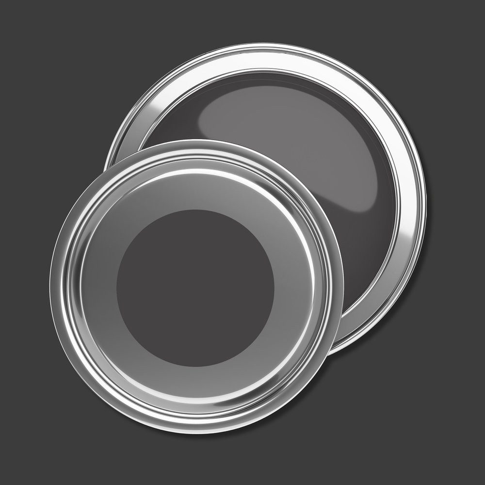 Puro Wandfarbe PURO Wandfarbe Schwarz "Deep Black" DD125734 1 l