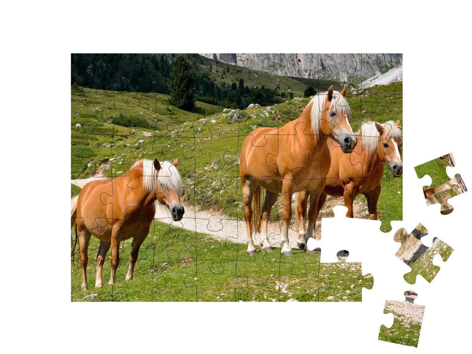 puzzleYOU Puzzle Pferde Puzzleteile, einer 48 Haflingerpferde puzzleYOU-Kollektionen Südtirol, Alm, Haflinger Pferde, auf