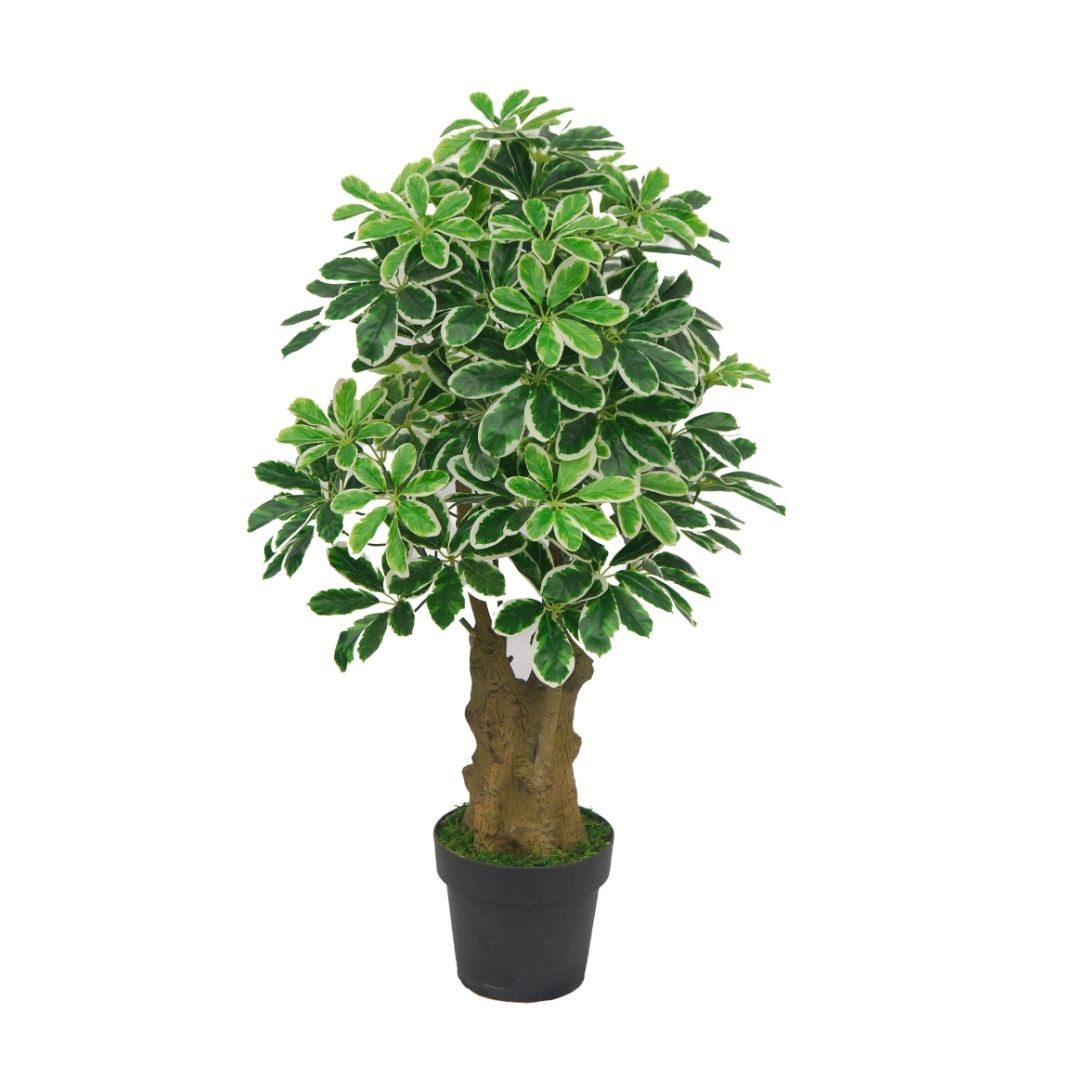 Kunstbaum SMARAGDLINE künstliche Bäume in verschiedenen Ausführungen und Größen Verschiedene Kunstbäume, Lacers, Höhe 100 cm, realistische Haptik, umweltfreundlich, naturgetreu, tierfreundlich