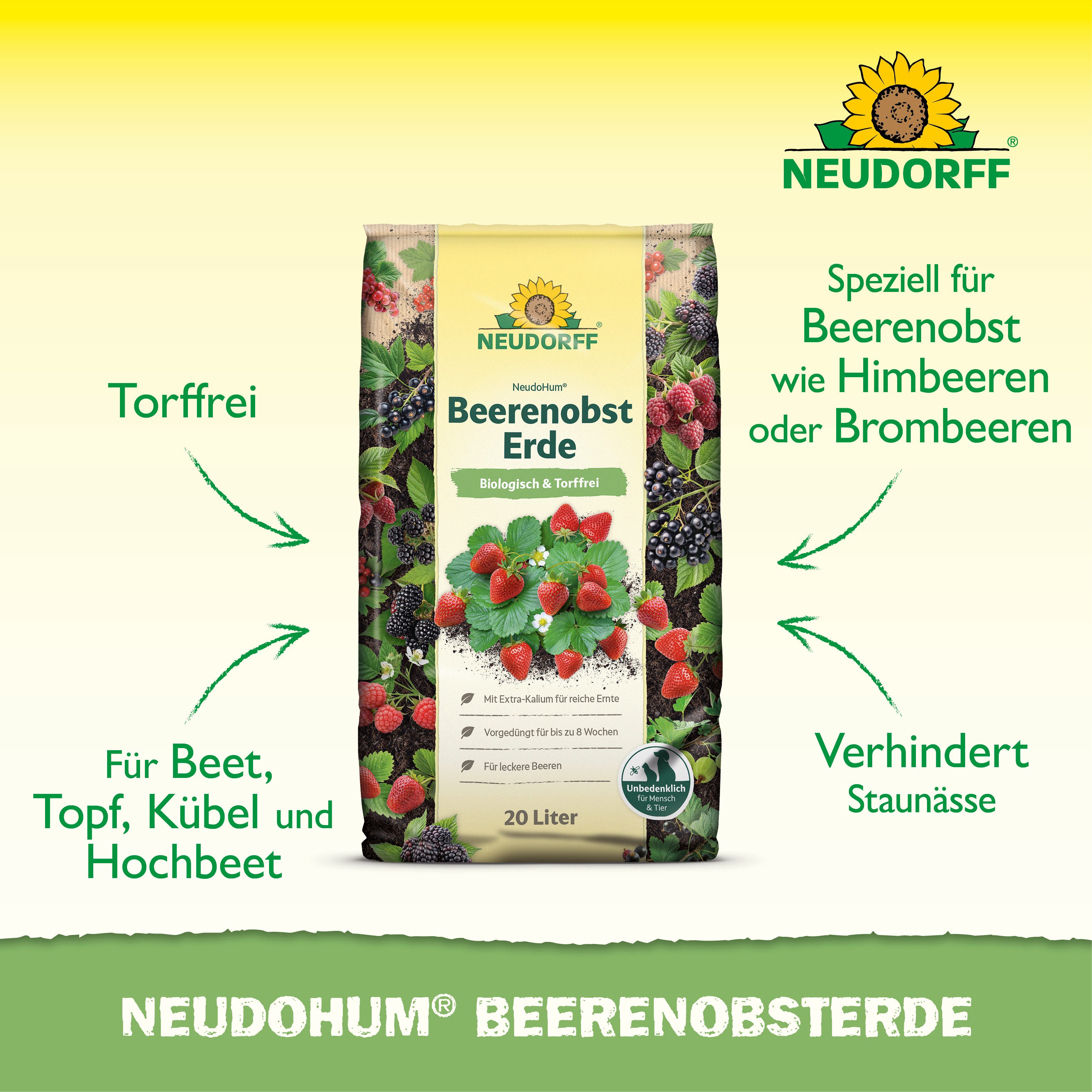 Neudorff Pflanzerde NeudoHum BeerenobstErde 20 Liter, mit Organische Grunddüngung, (Einzelartikel, Für leckere Beeren, unterstützt eine gute Fruchtentwicklung), – Bild 2 von 5