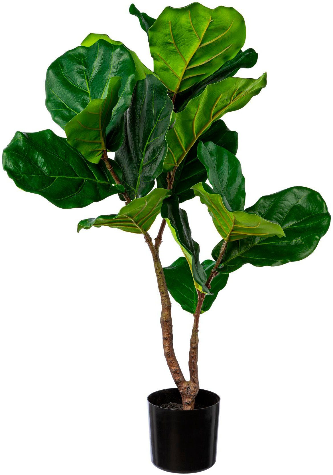 Kunstbaum Ficus Lyrata Grünpflanze, Creativ green, Höhe 80 cm günstig online kaufen