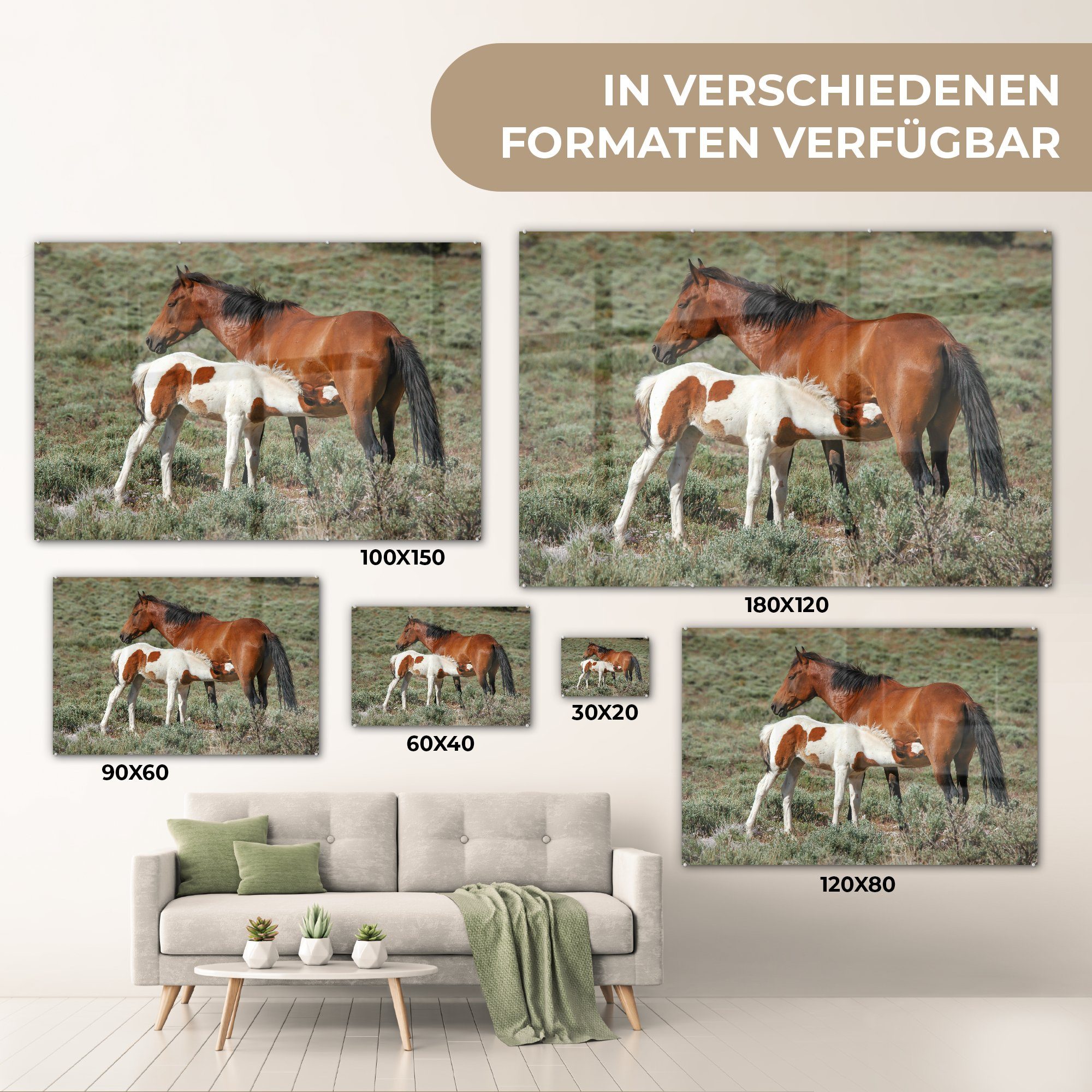 Pferde & Fohlen Wohnzimmer Acrylglasbilder - - (1 St), Blumen, Schlafzimmer MuchoWow Acrylglasbild