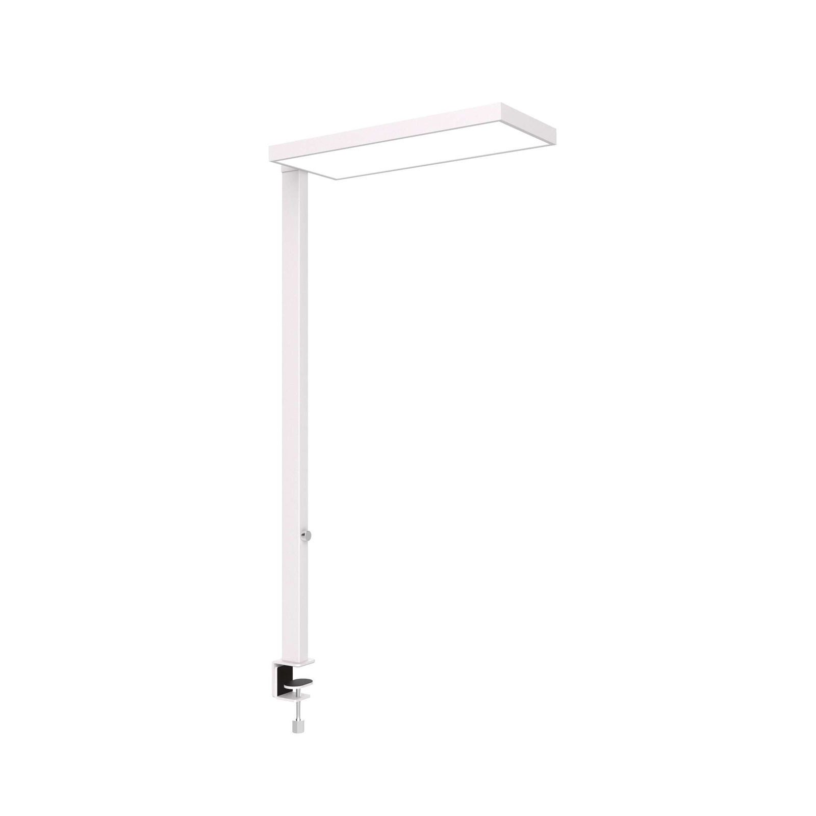 MAUL Stehlampe MAUL Standleuchte MAULjura LED 4.000 K dimmbar Klemmfuß 121 cm weiß, LED wechselbar