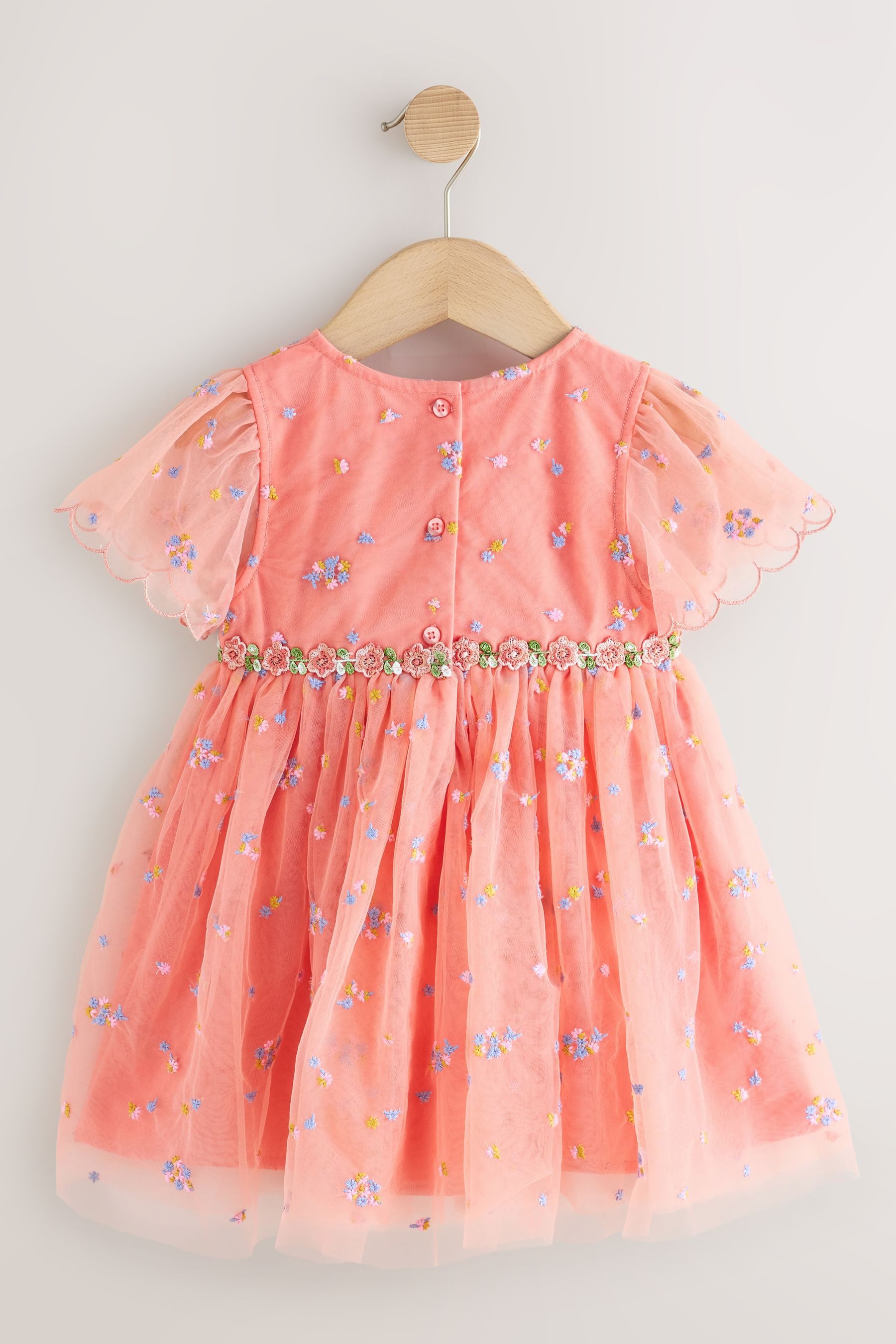 Next Tüllkleid Besticktes Kleid aus Netzstoff (1-tlg)