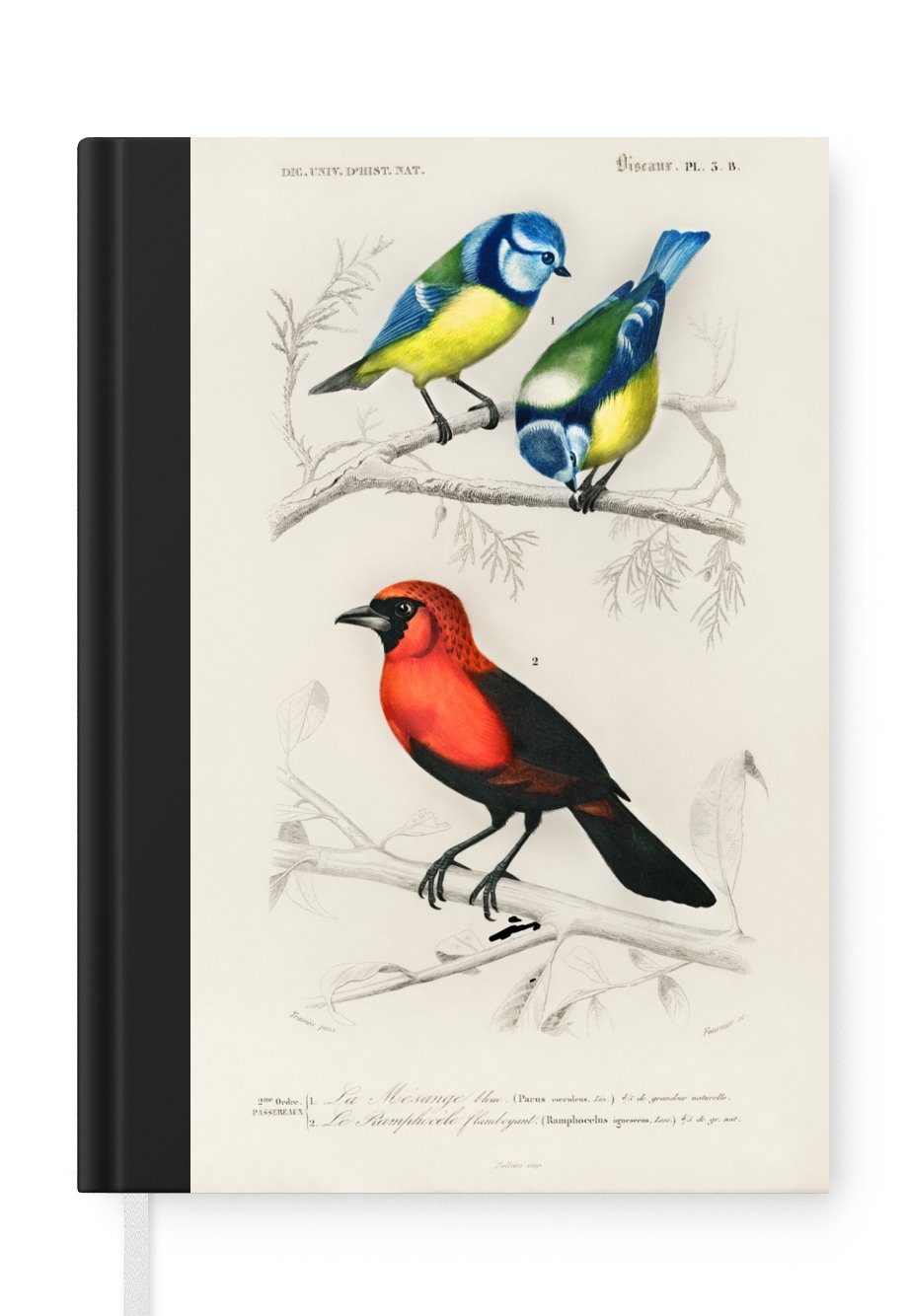 Notizheft, Zweig, MuchoWow Vintage Vogel Haushaltsbuch Seiten, Merkzettel, A5, 98 - Notizbuch Journal, Tagebuch, -