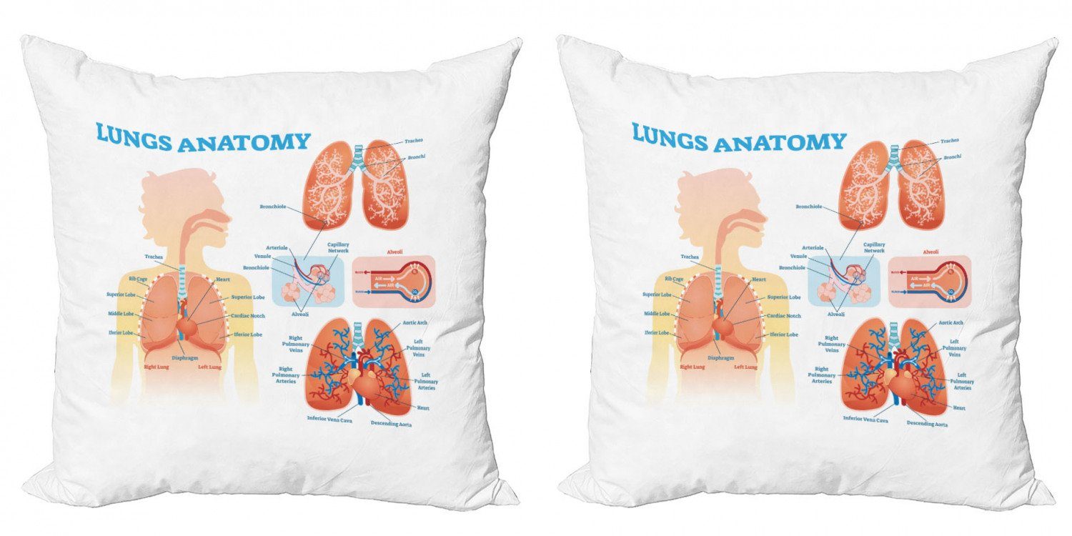 Accent Anatomie Abakuhaus Stück), Digitaldruck, Kissenbezüge (2 Strukturbiologie Modern Doppelseitiger Lunge