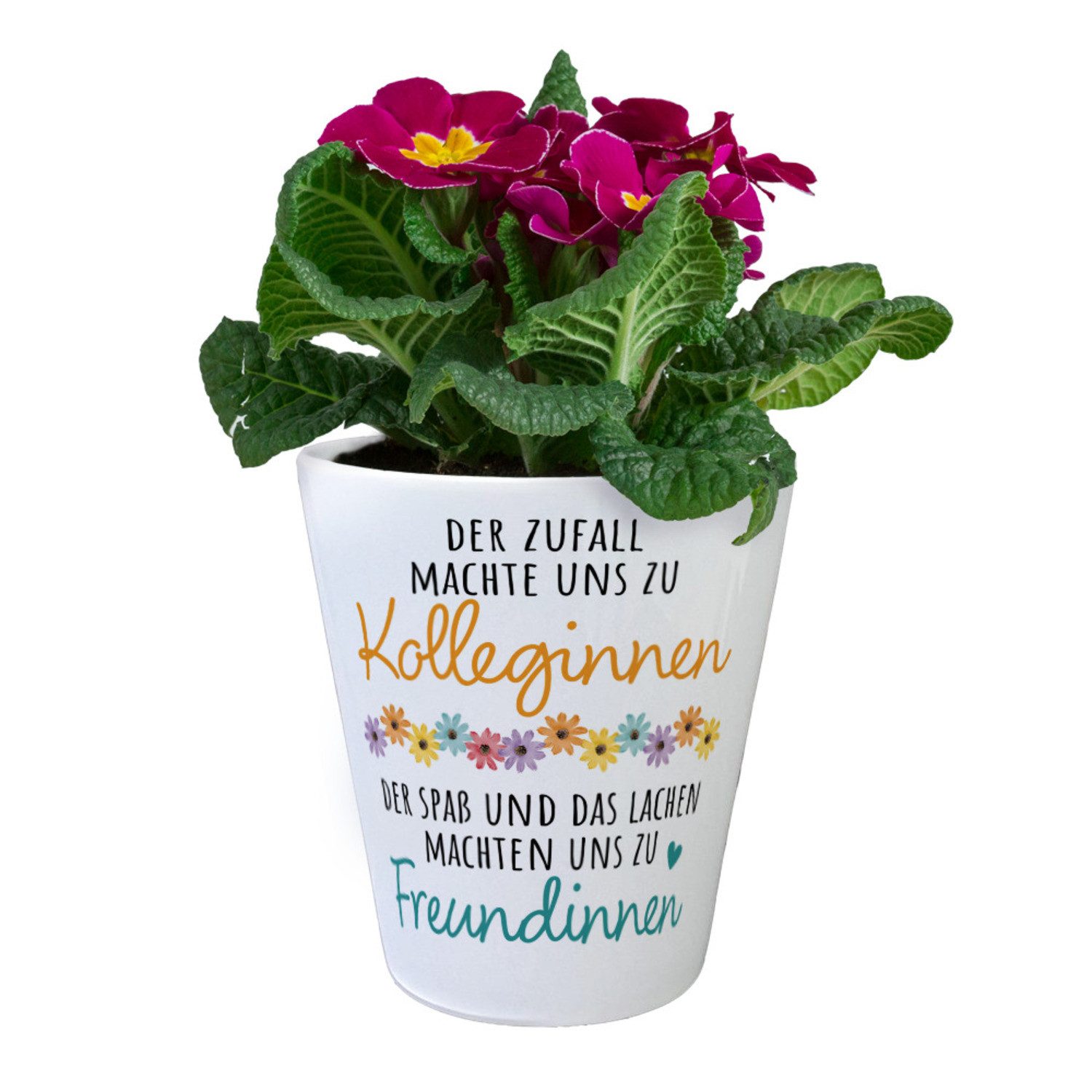 speecheese Blumentopf Beste Kollegin Blumentopf mit günstig online kaufen
