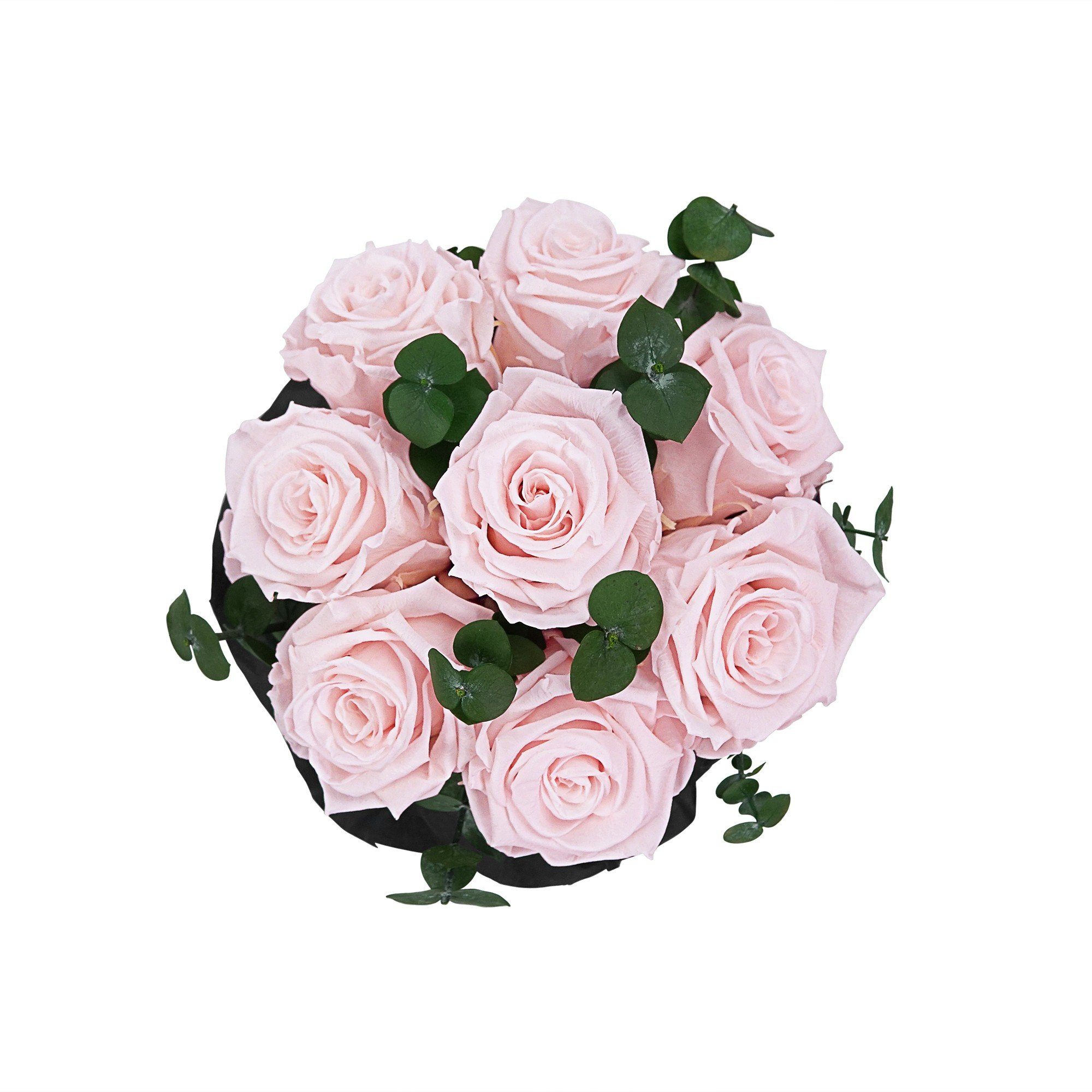 3 mit I Raul konservierte I Jahre Holy Kunstblume Rose, Bouquet Blumen 7-9 Echte, by Infinity Flowers Richter duftende Rosenbox Hellrosa I Rosen haltbar