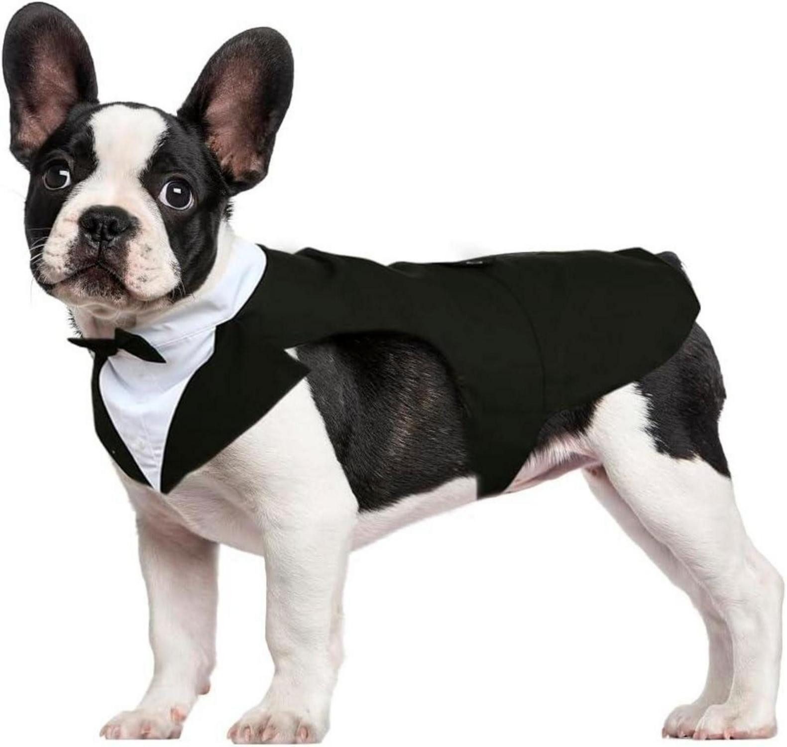 Hundefliege Hund Smoking Anzug Bandana Set Hochzeit Halloween Party S-XXL Schwarz