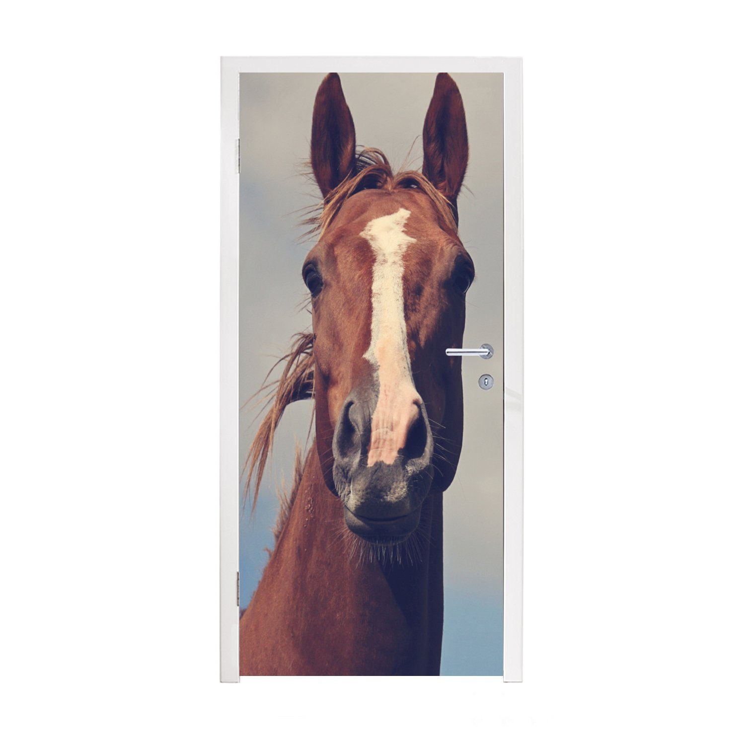 MuchoWow Türtapete Pferd - Wolken - Porträt, Matt, bedruckt, (1 St), Fototapete für Tür, Türaufkleber, 75x205 cm