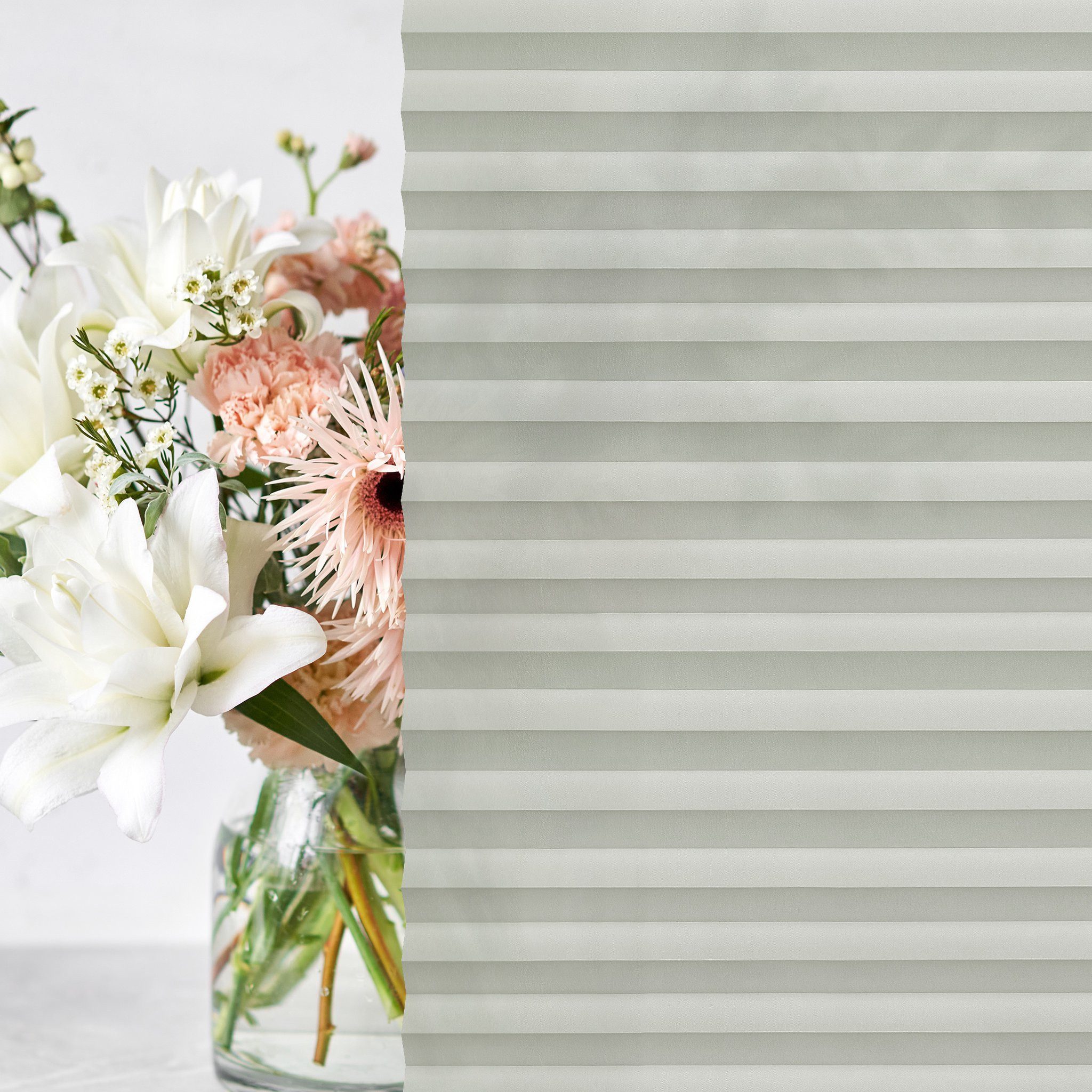 jalousiescout Plissee Pure Plissee Premium, 30 x 90 cm, grau, halbtranspare günstig online kaufen