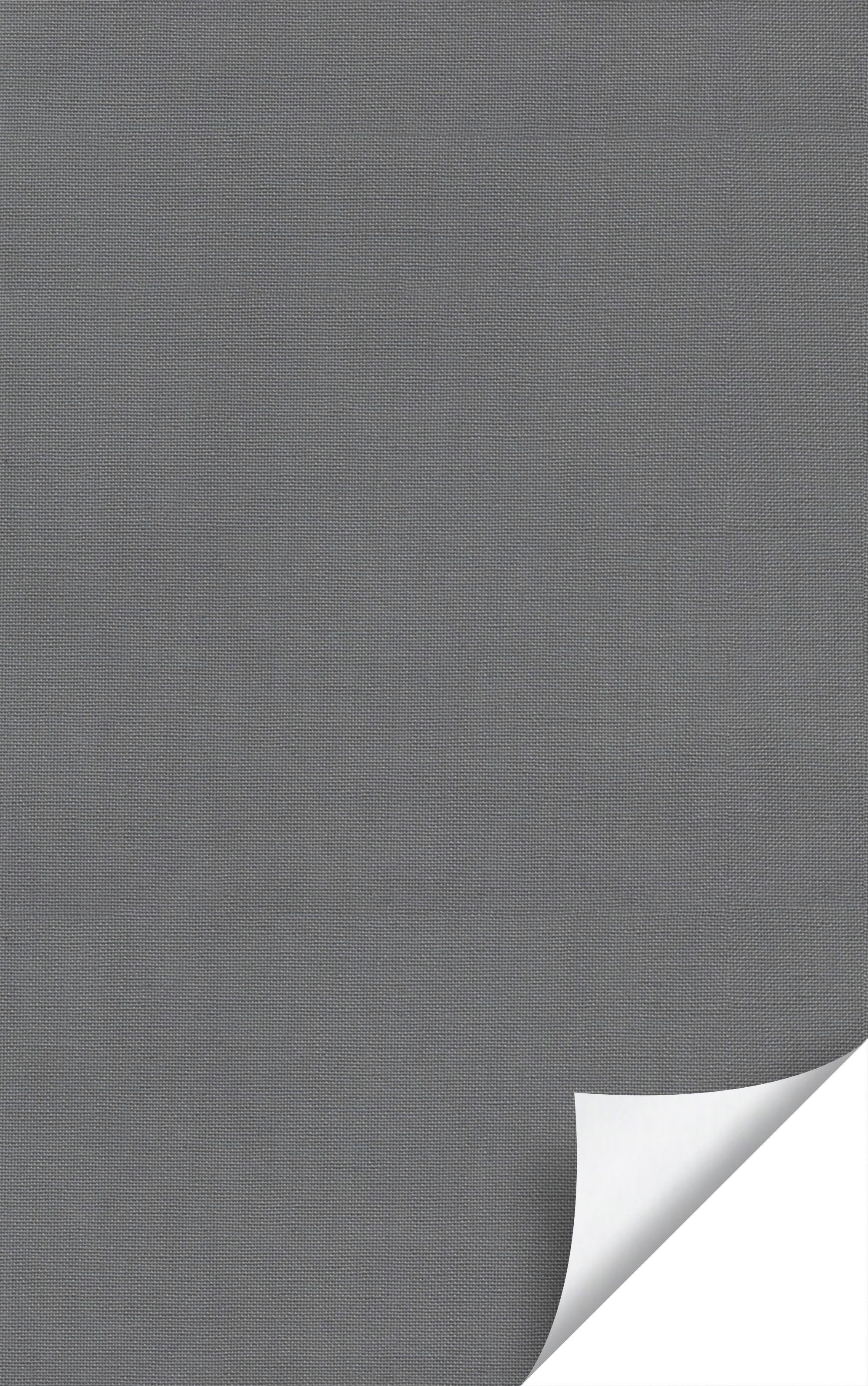 LYSEL® Raffrollo abdunkelnd Grau, HxB 170x80cm günstig online kaufen