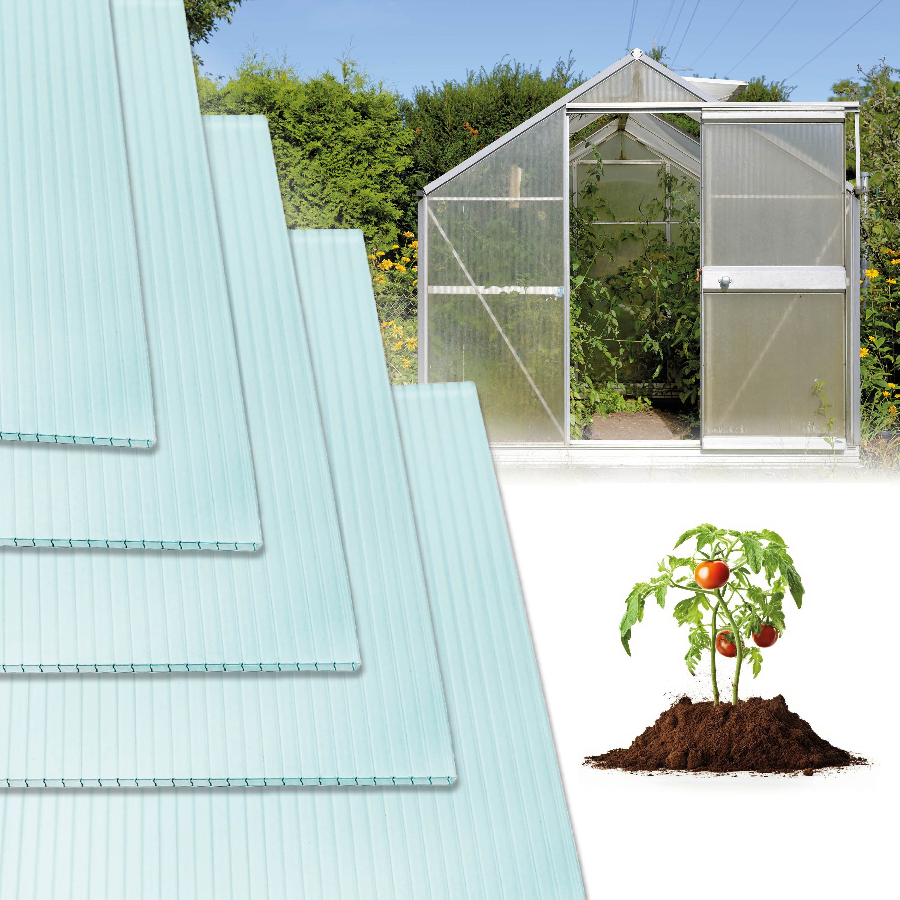 LP projekt Doppelstegplatte Gewächshausplatten 4,6,8,10 mm, Platten für Gewächshaus, 4 mm, (Platten-Set, 5-St., Erhältlich im 5er-, 6er-, 7er-, 8er-, 12er- und 14er-Set)