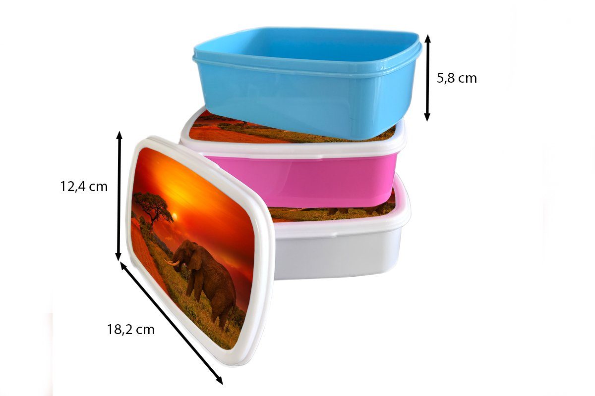 Orange Elefant Brotbox Jungs Kunststoff, - für Sonnenuntergang Lunchbox Brotdose, - - und - MuchoWow Tiere, (2-tlg), Kinder Savanne Mädchen weiß für Erwachsene, und